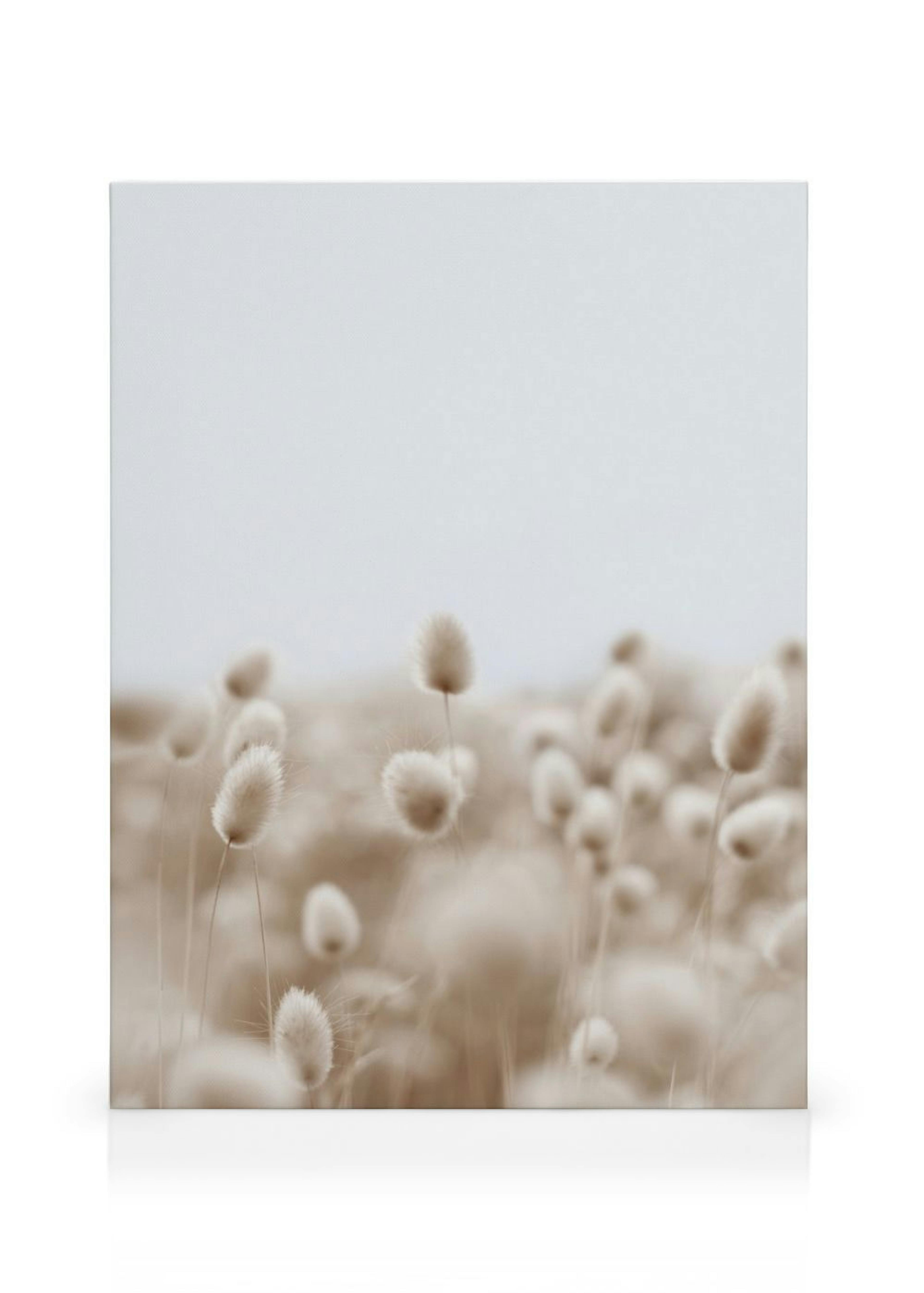 Product image: 1