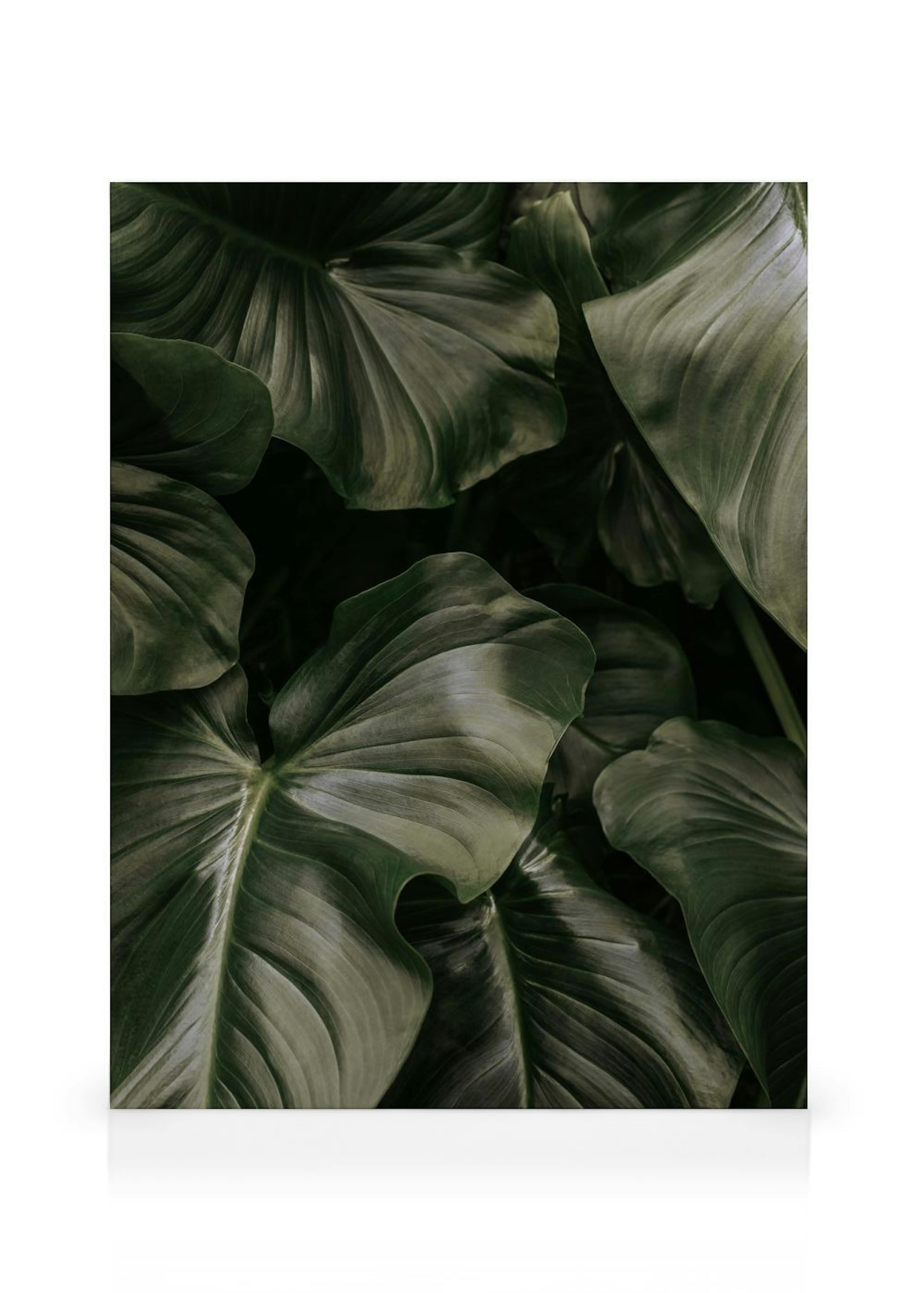 Deep Green Leaves Obraz na płótnie