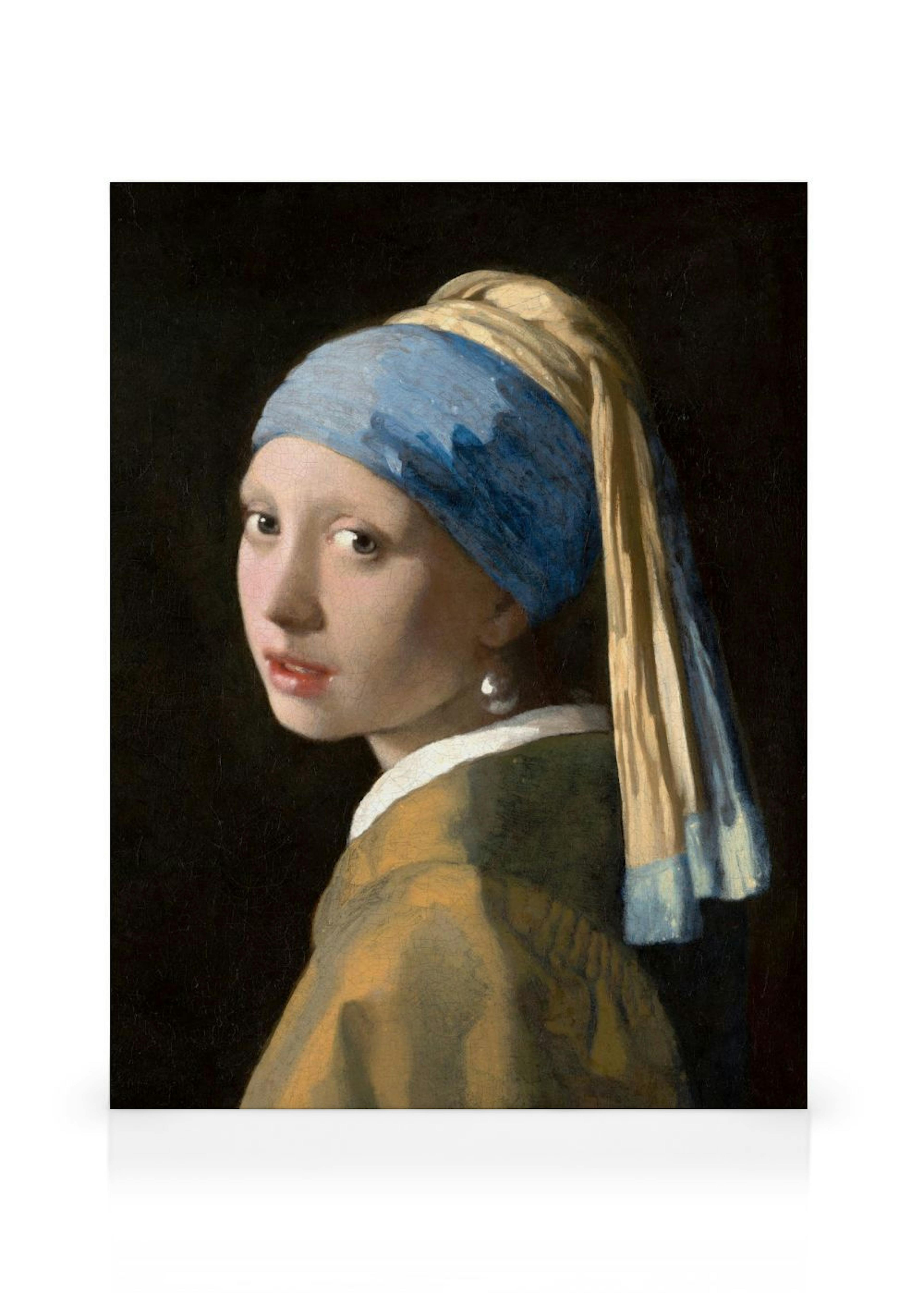 Johannes Vermeer - Girl with a Pearl Earring obraz na plátně