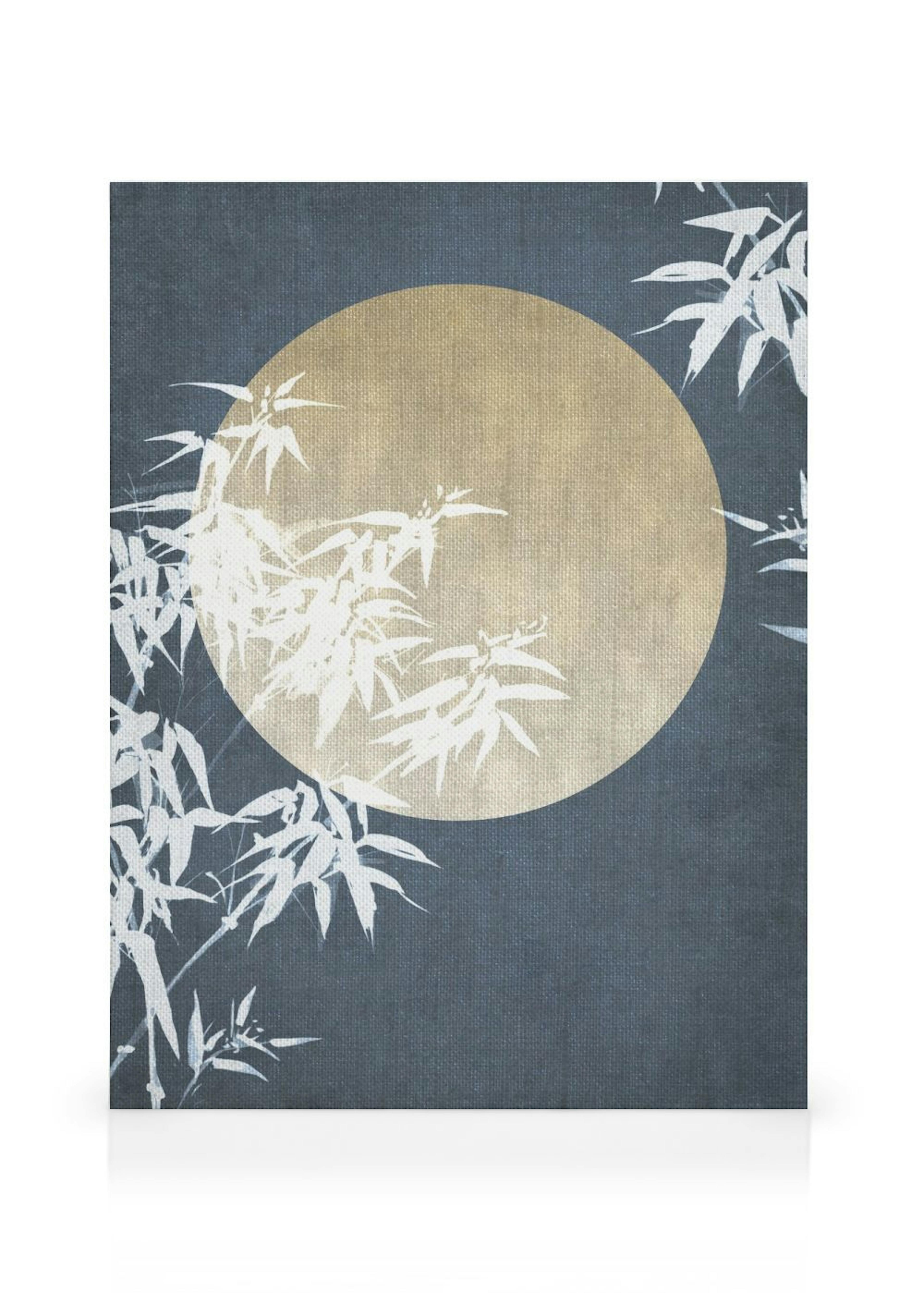 Moon Night Sky No2 Lienzo