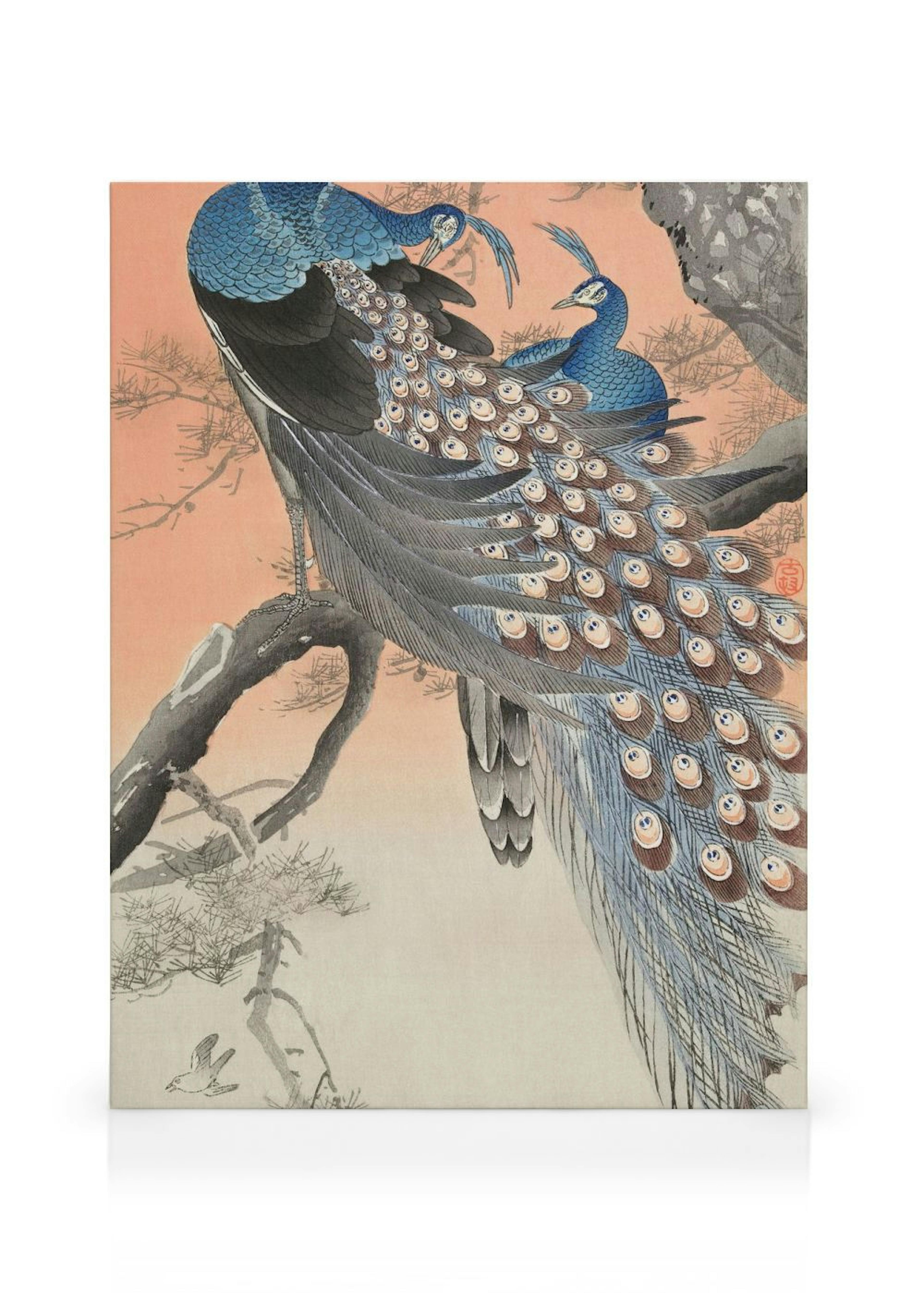 Ohara Koson - Two Peacocks on Tree Branch obraz na plátně