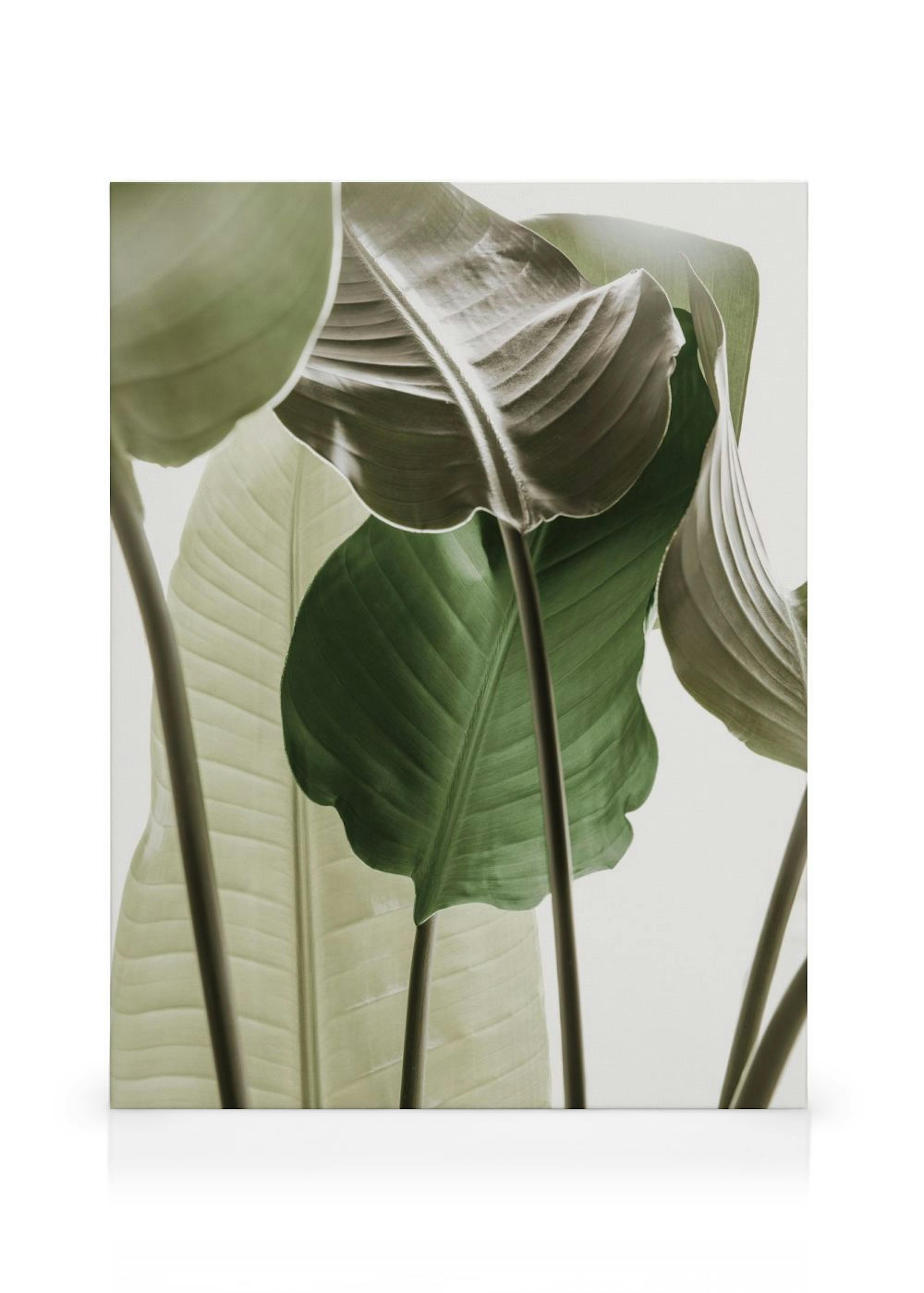 Product image: 1