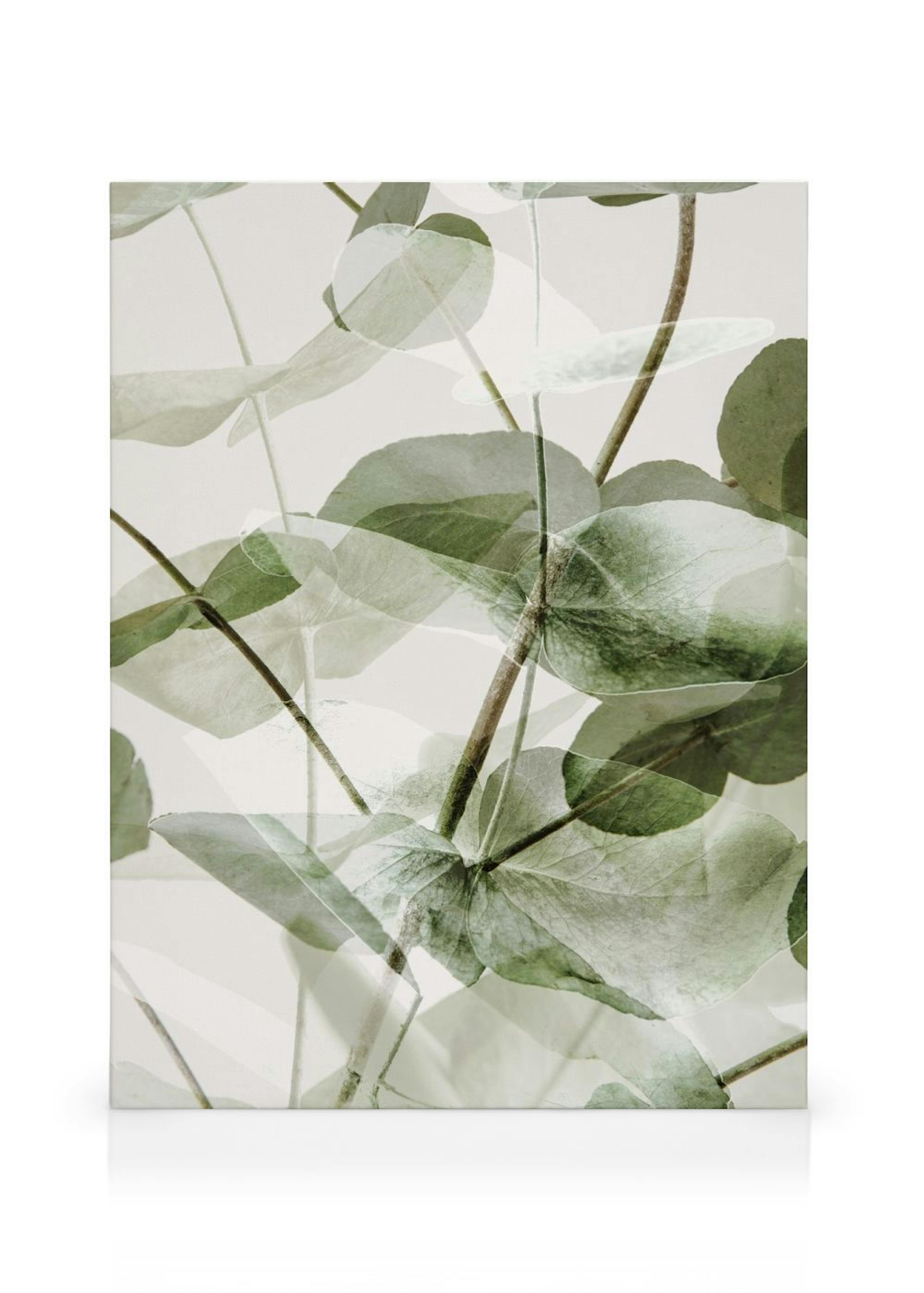 Product image: 1