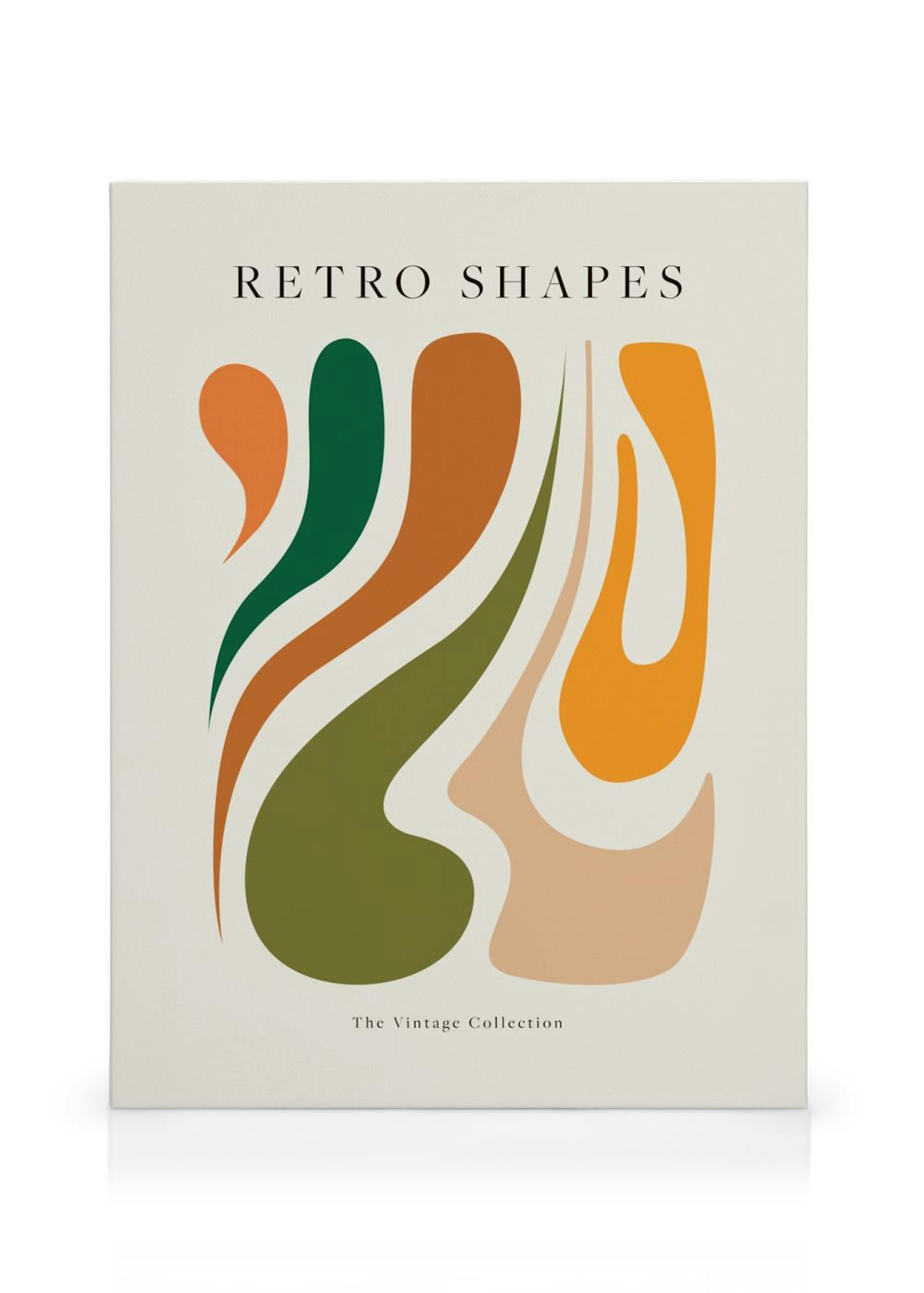 Retro Shapes No2 Canvas print