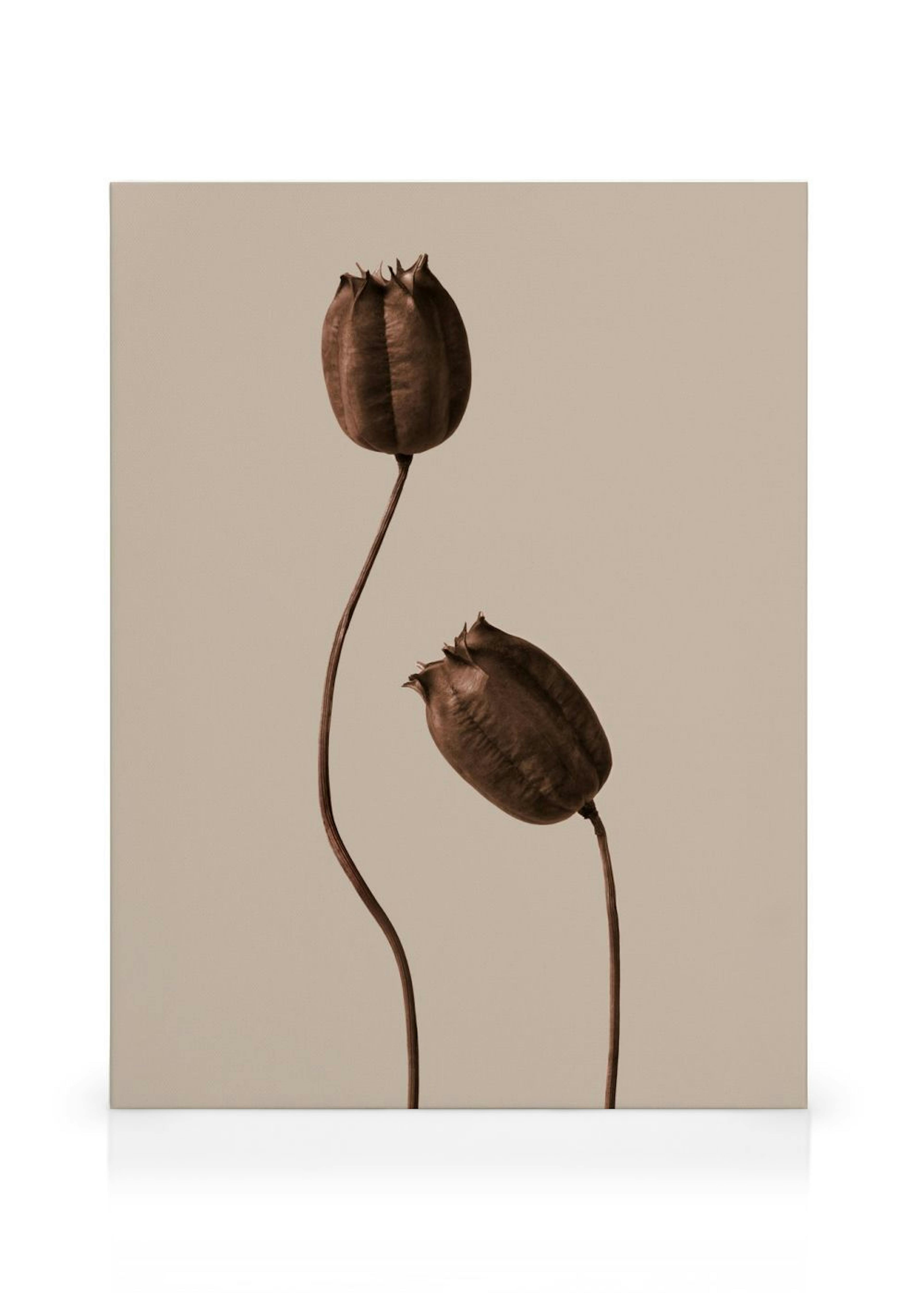 Product image: 1