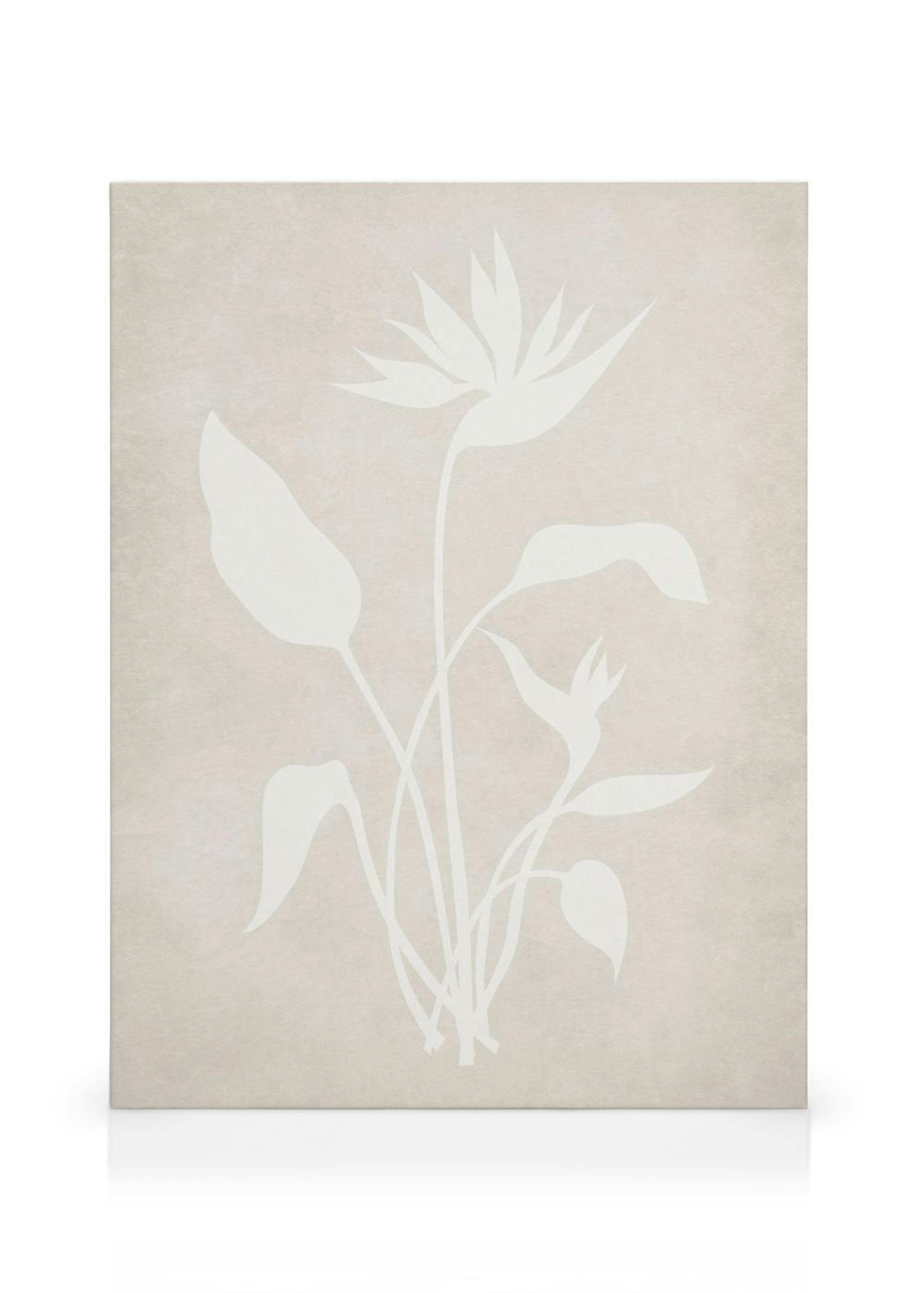 Beige Silhouette No1 Toile