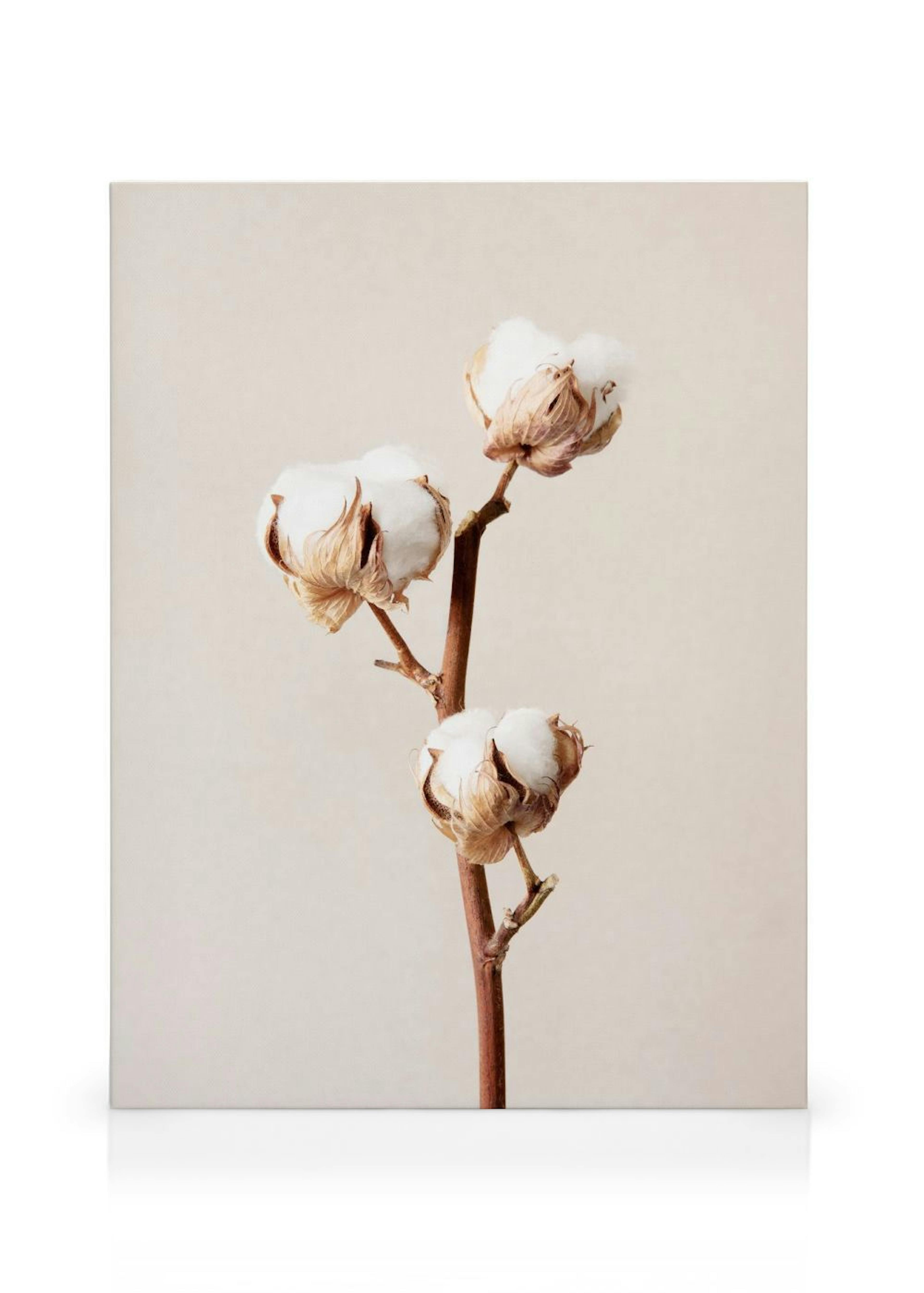 Product image: 1