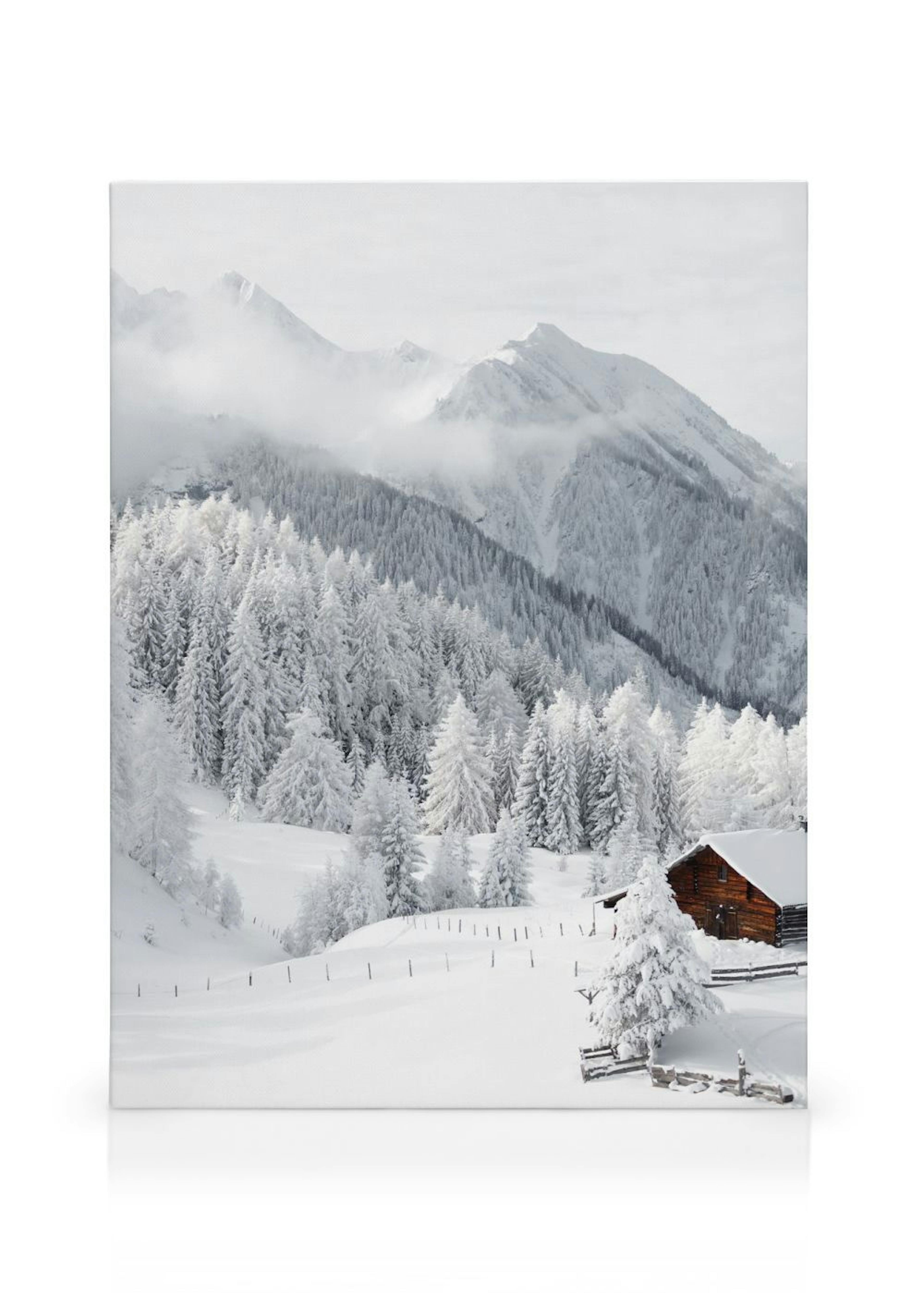 Snowy Landscape Canvas print