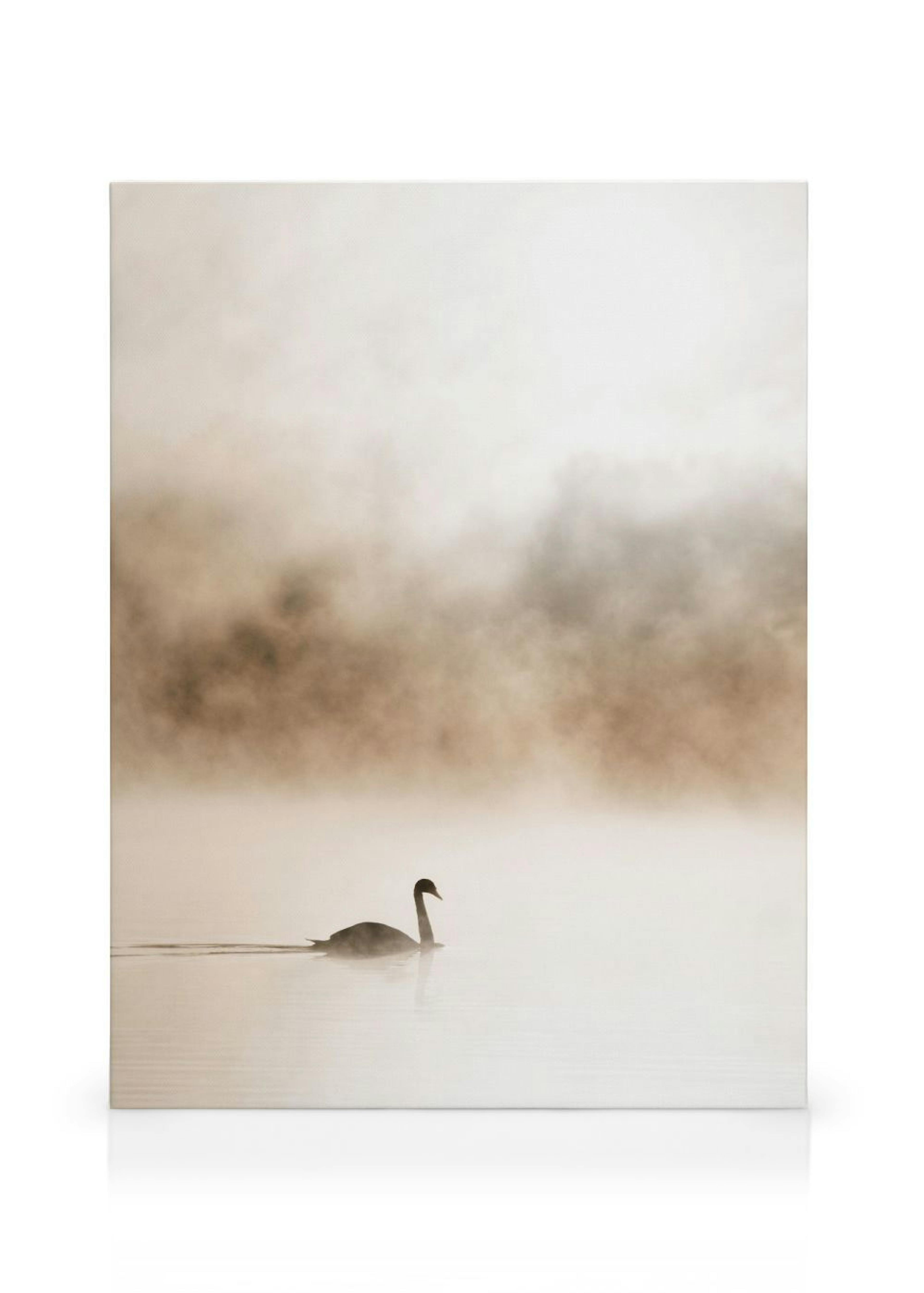 Product image: 1