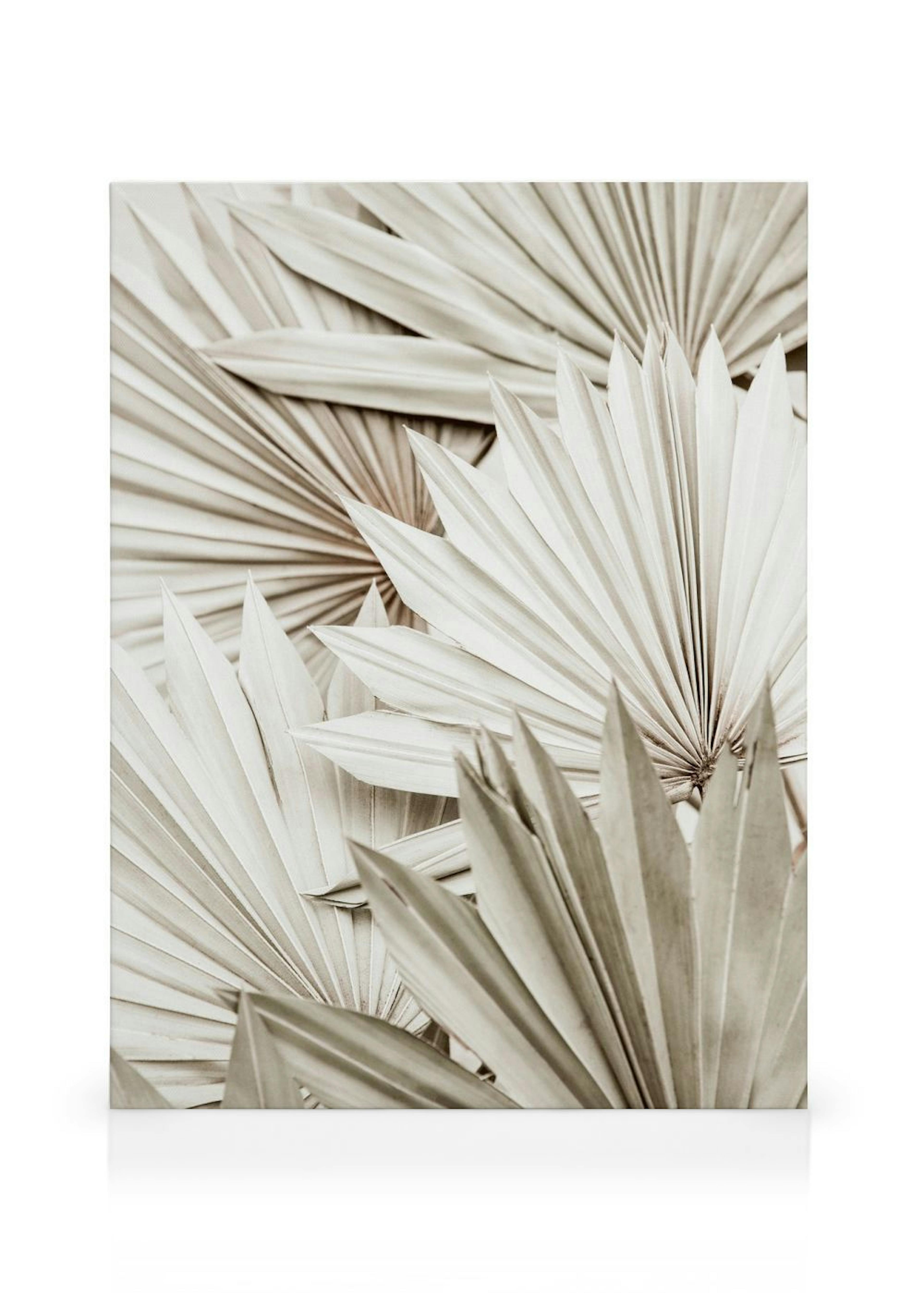 Product image: 1