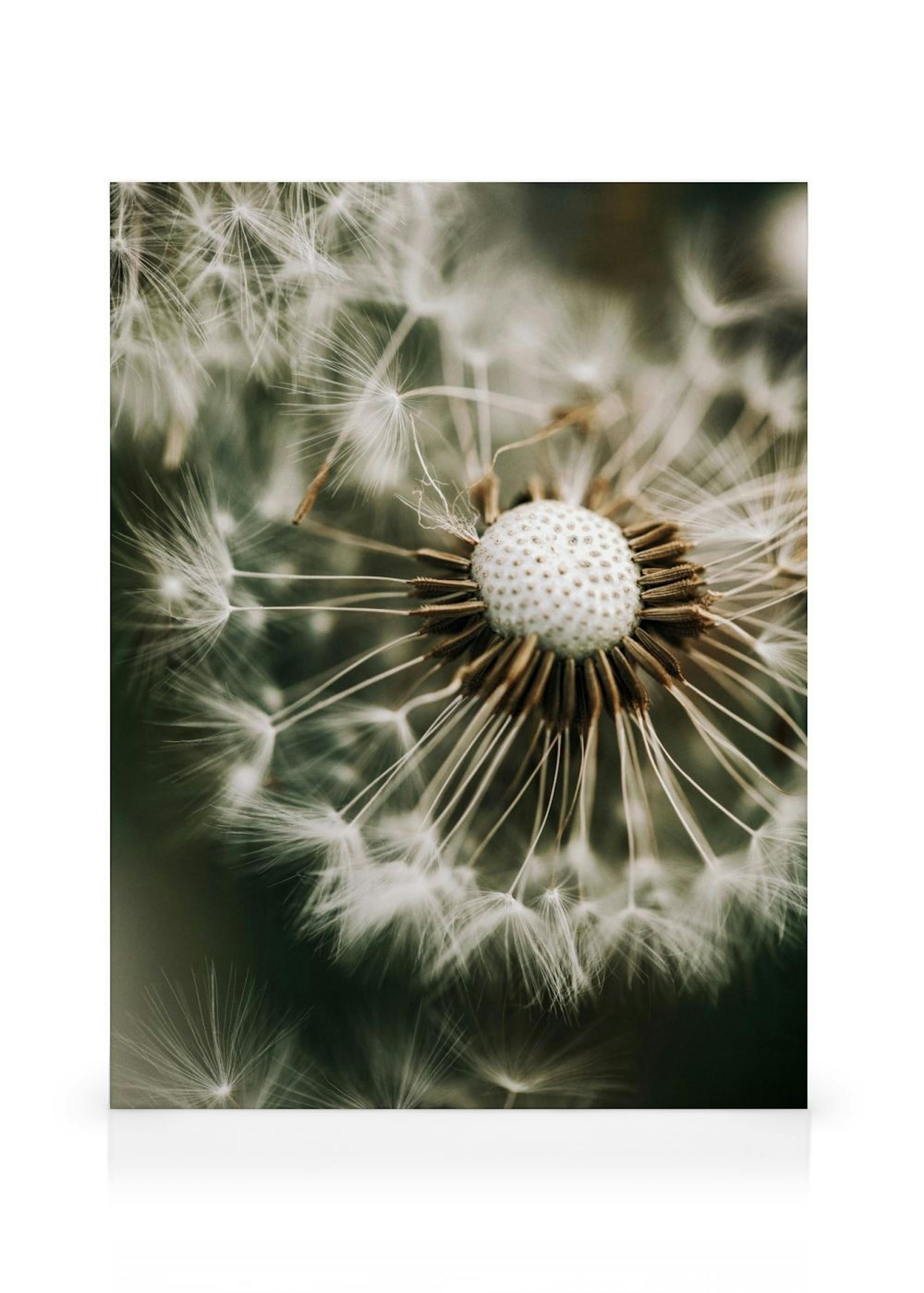 Product image: 1
