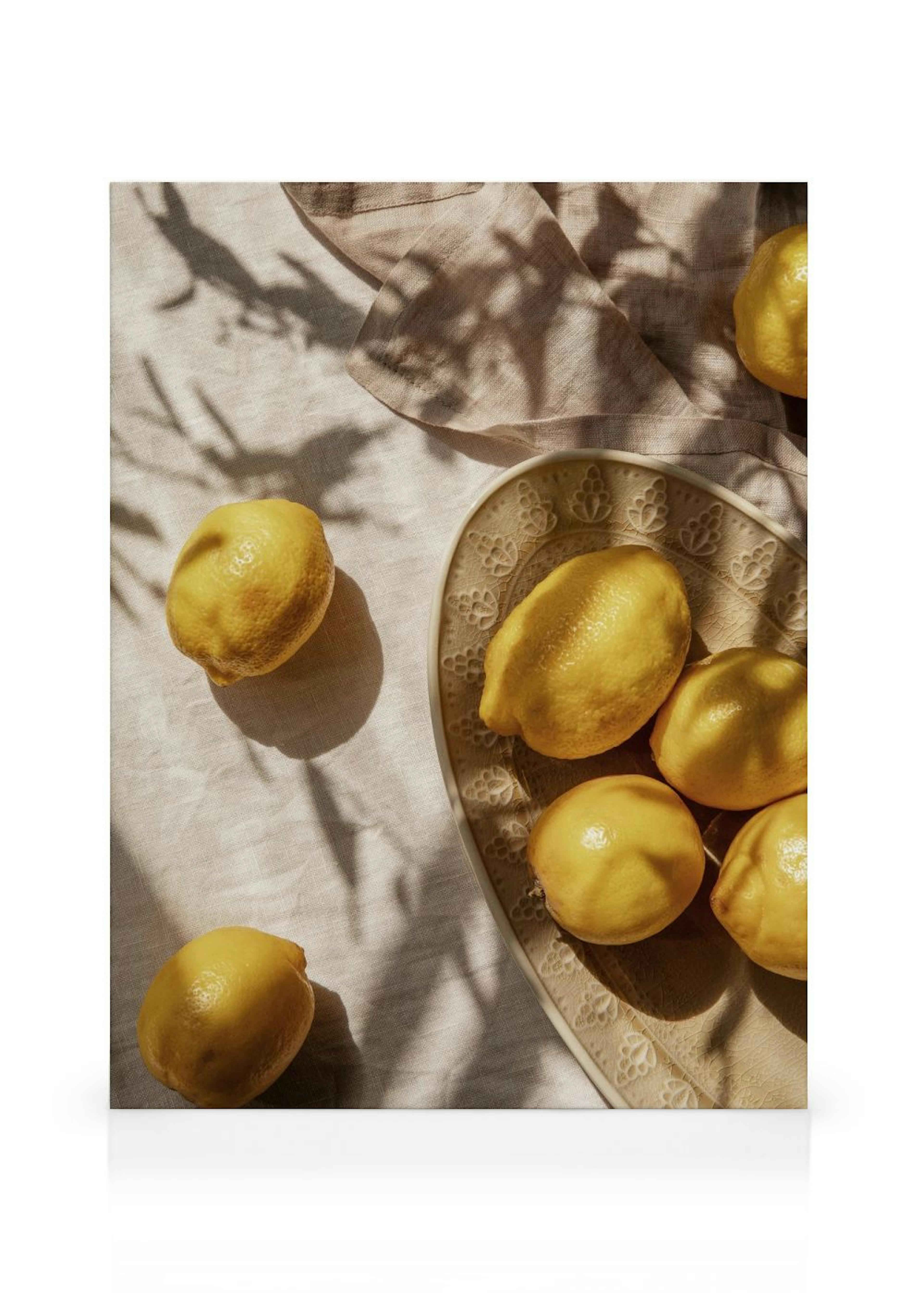 Lemons In Sunlight Lienzo