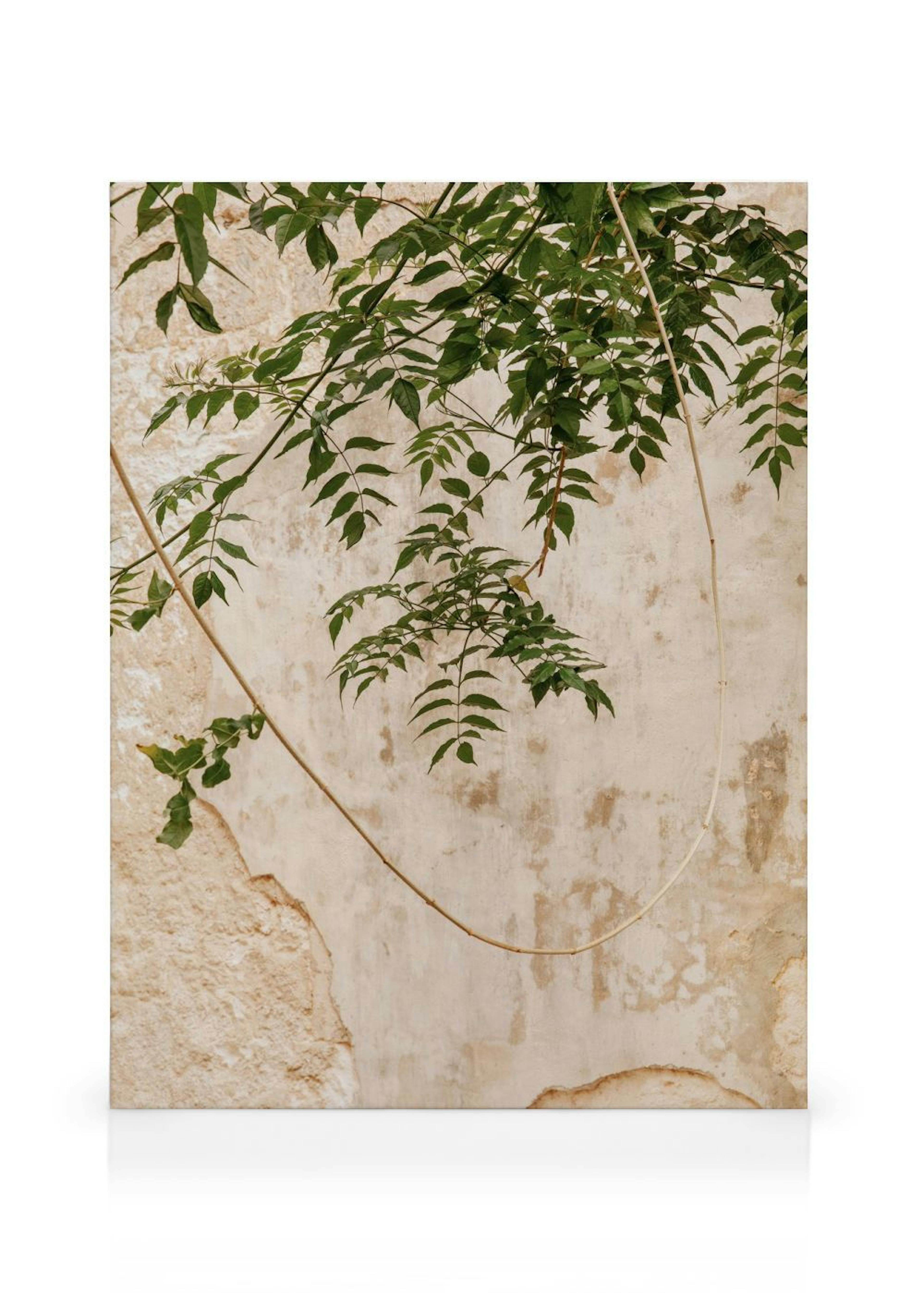 Product image: 1