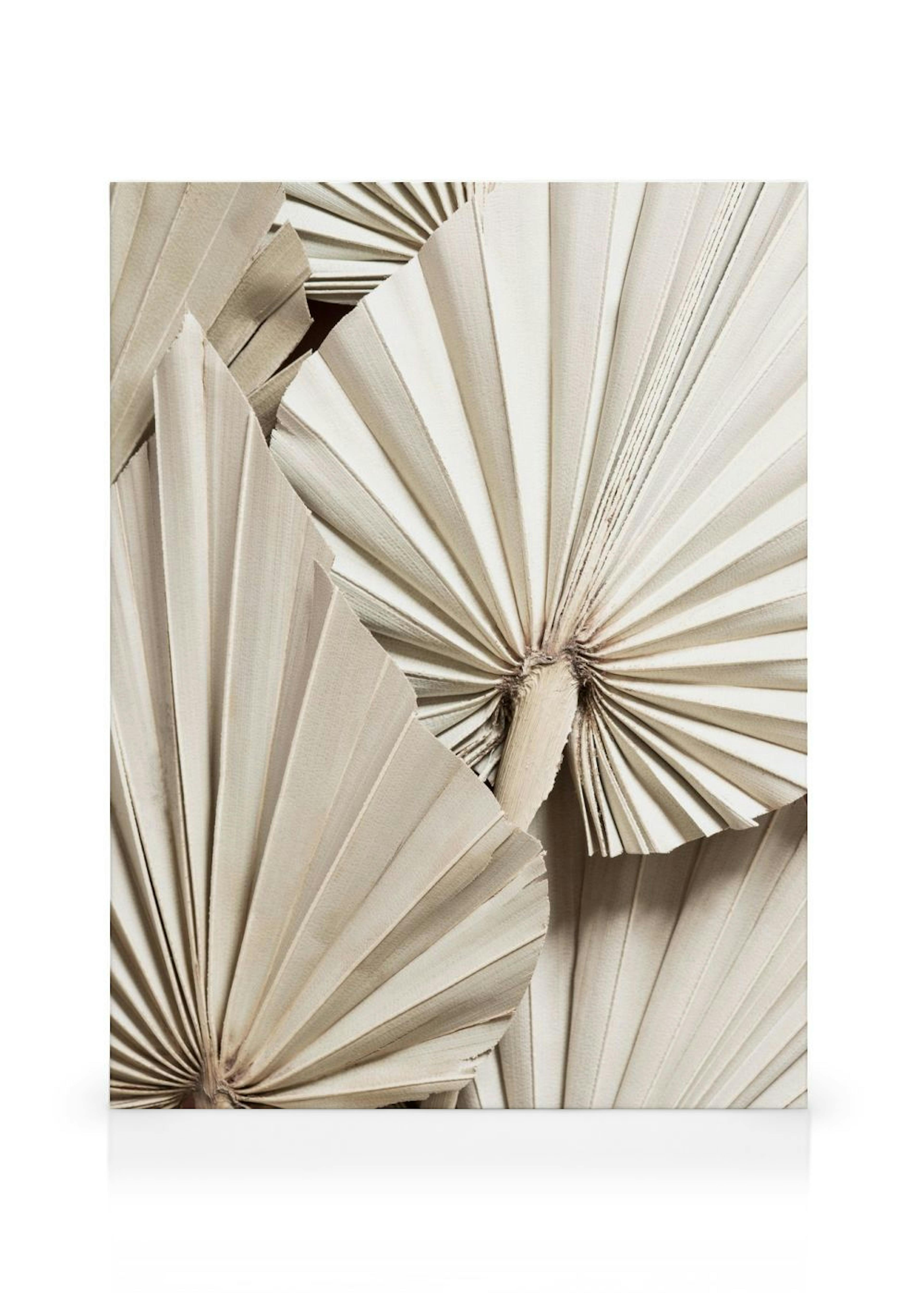 Product image: 1