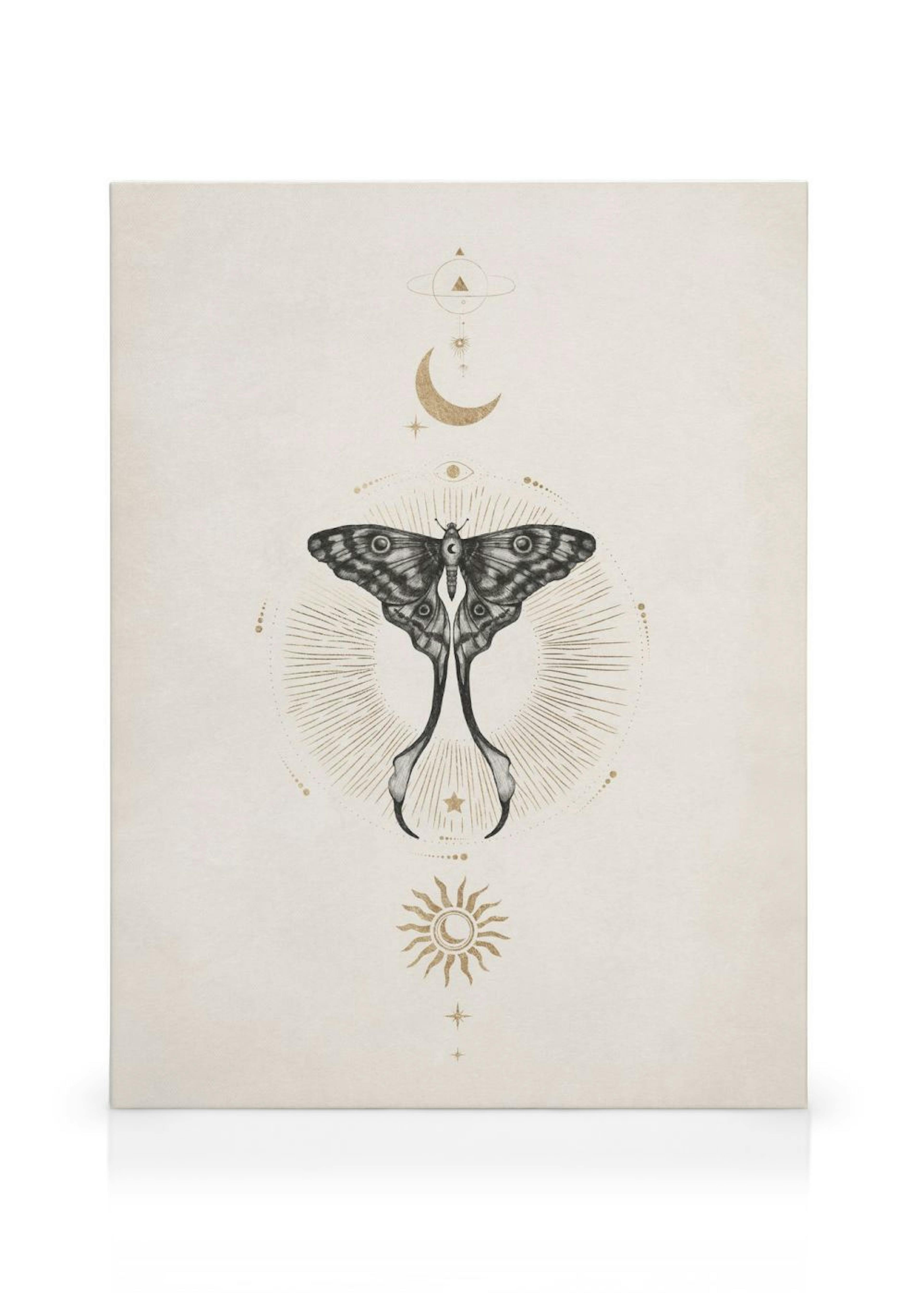 Moon Star Butterfly Canvas print