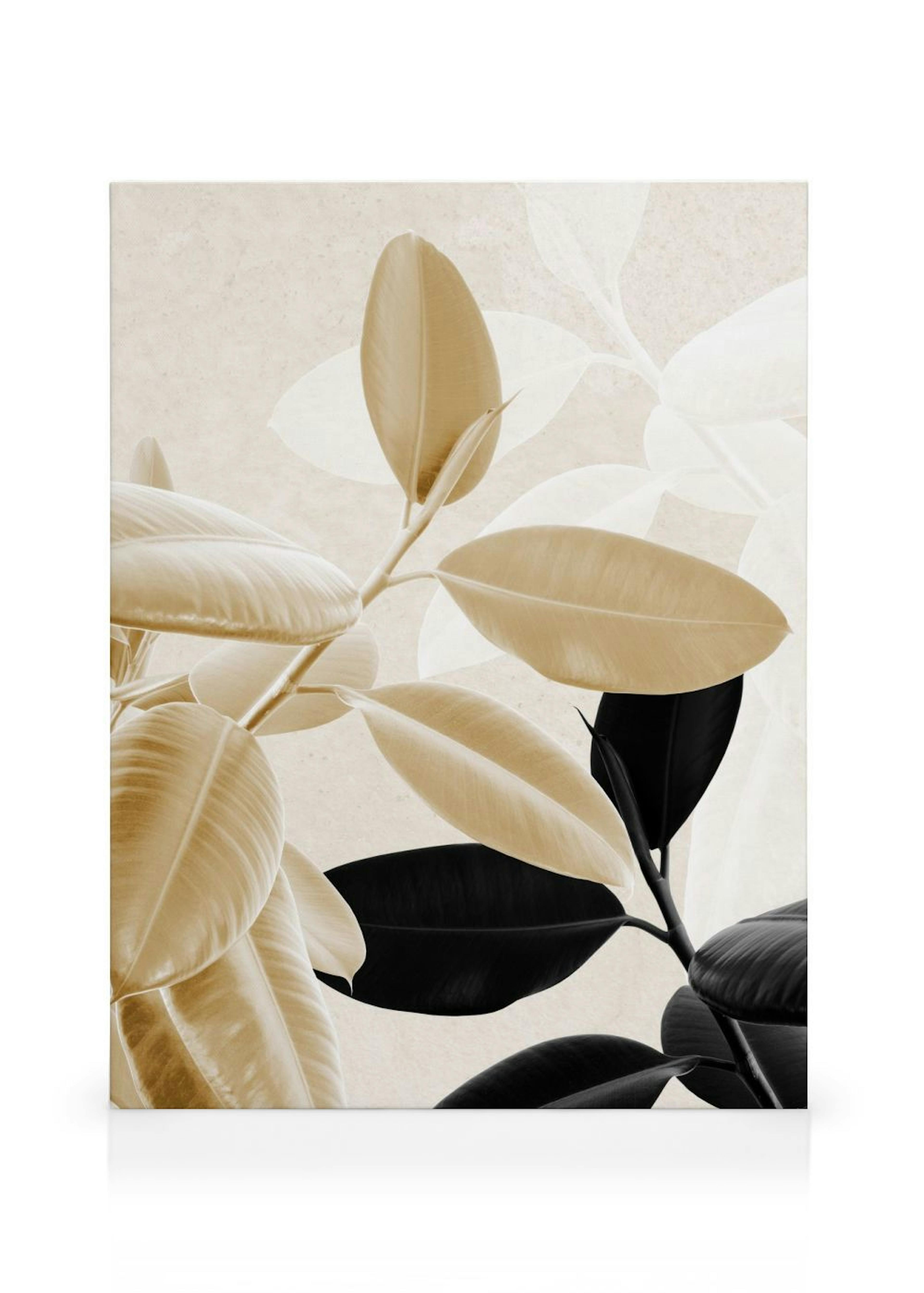 Gold and Black No1 Canvas