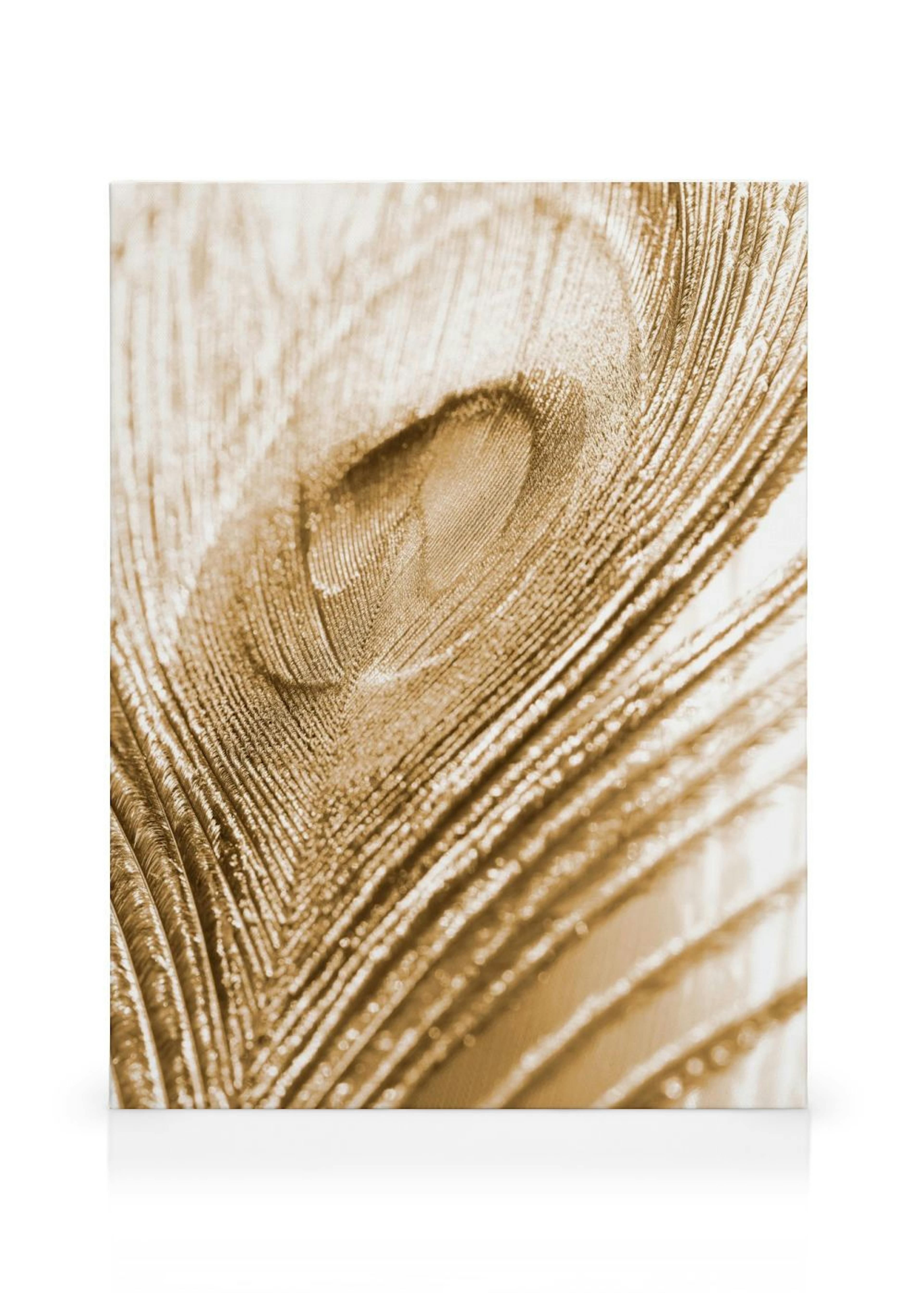 Golden Feather Canvas print