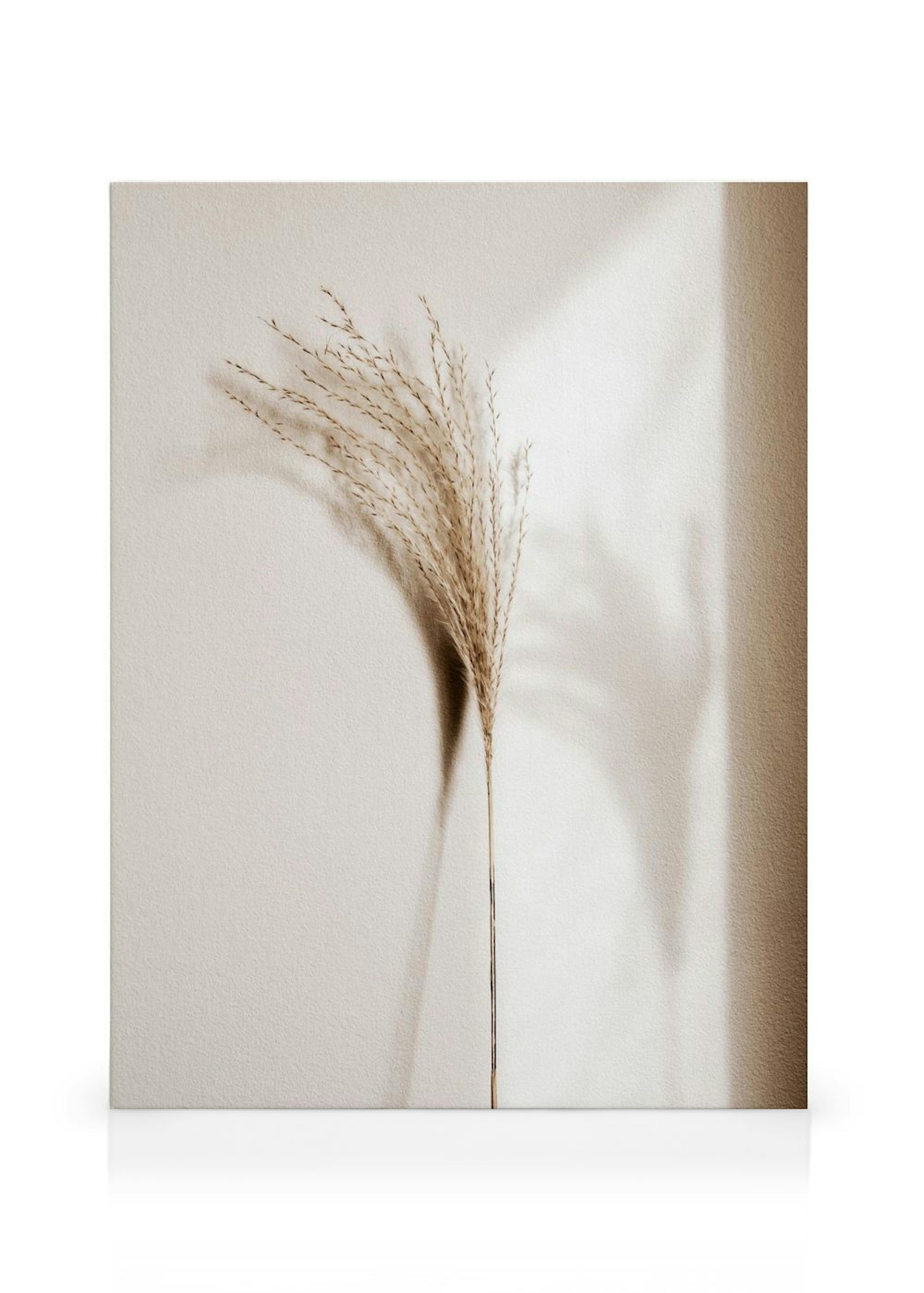 Product image: 1