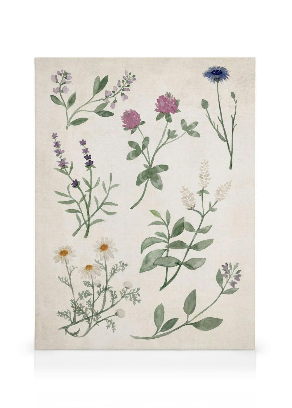 Aquarell-Leinwandbild mit Wildblumen: Lavendel, Kamille, Klee und Kornblume auf hellem Hintergrund.