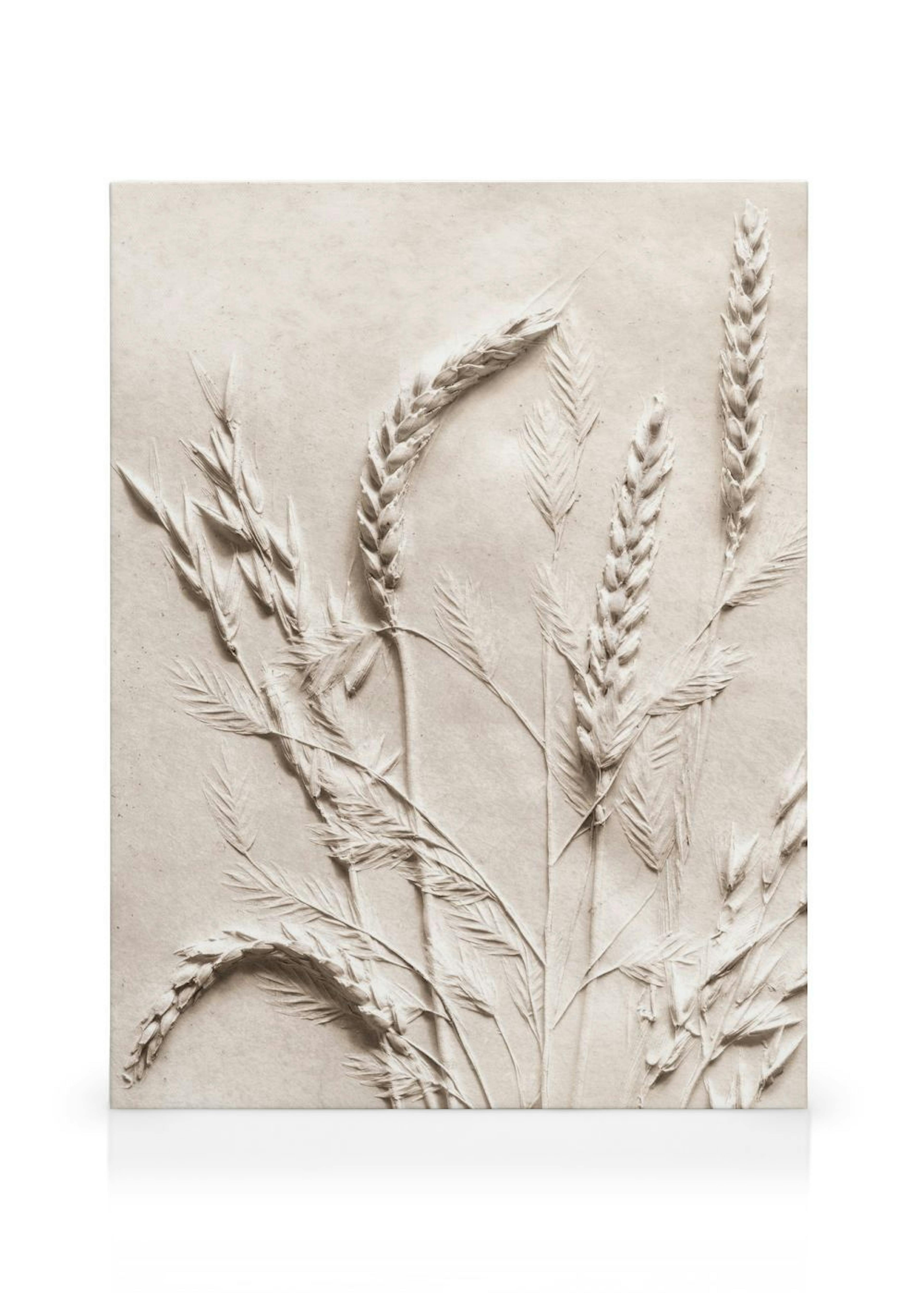 Relief Wheat Canvas