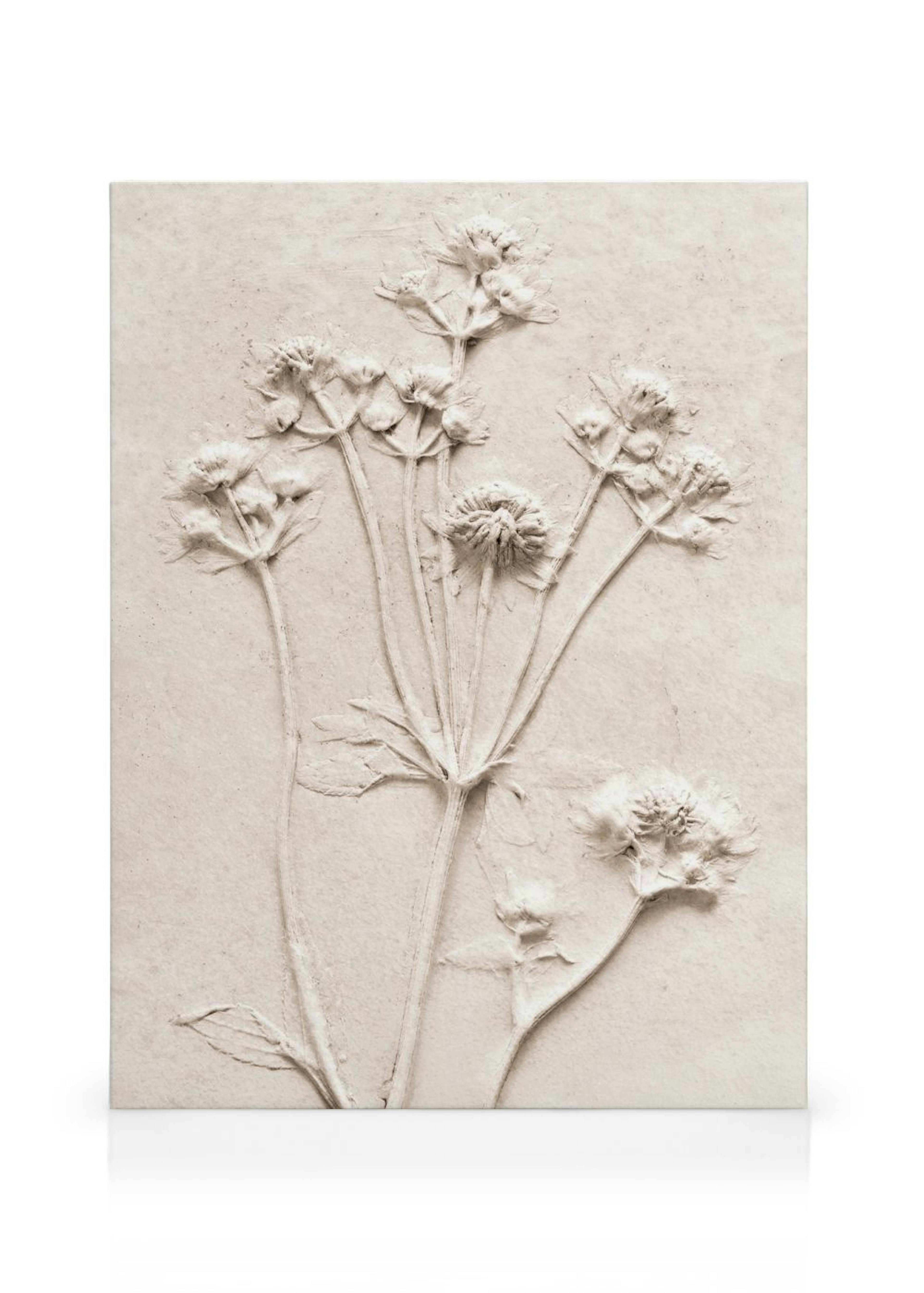 Relief Flowers No1 Canvastavla