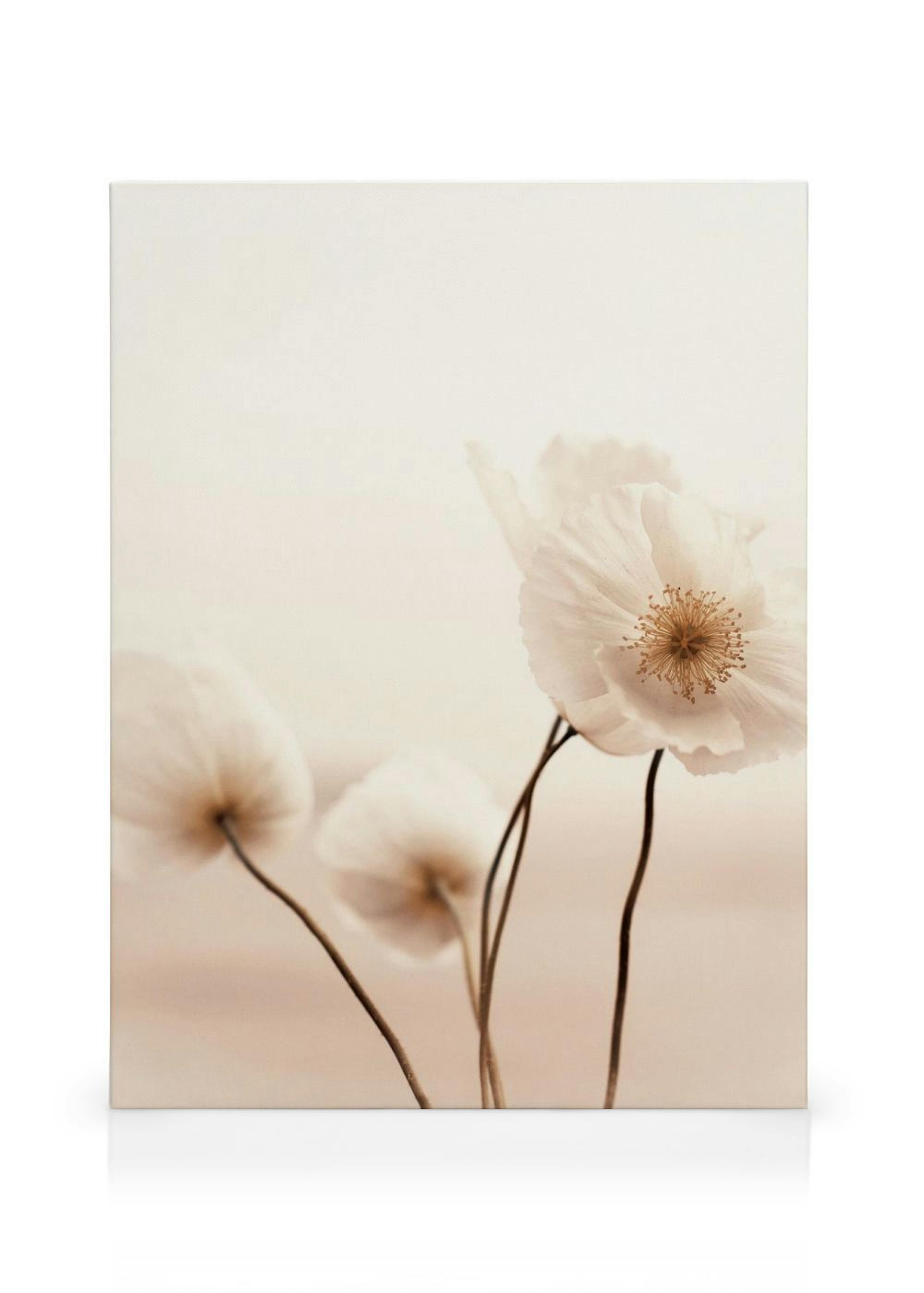 Product image: 1