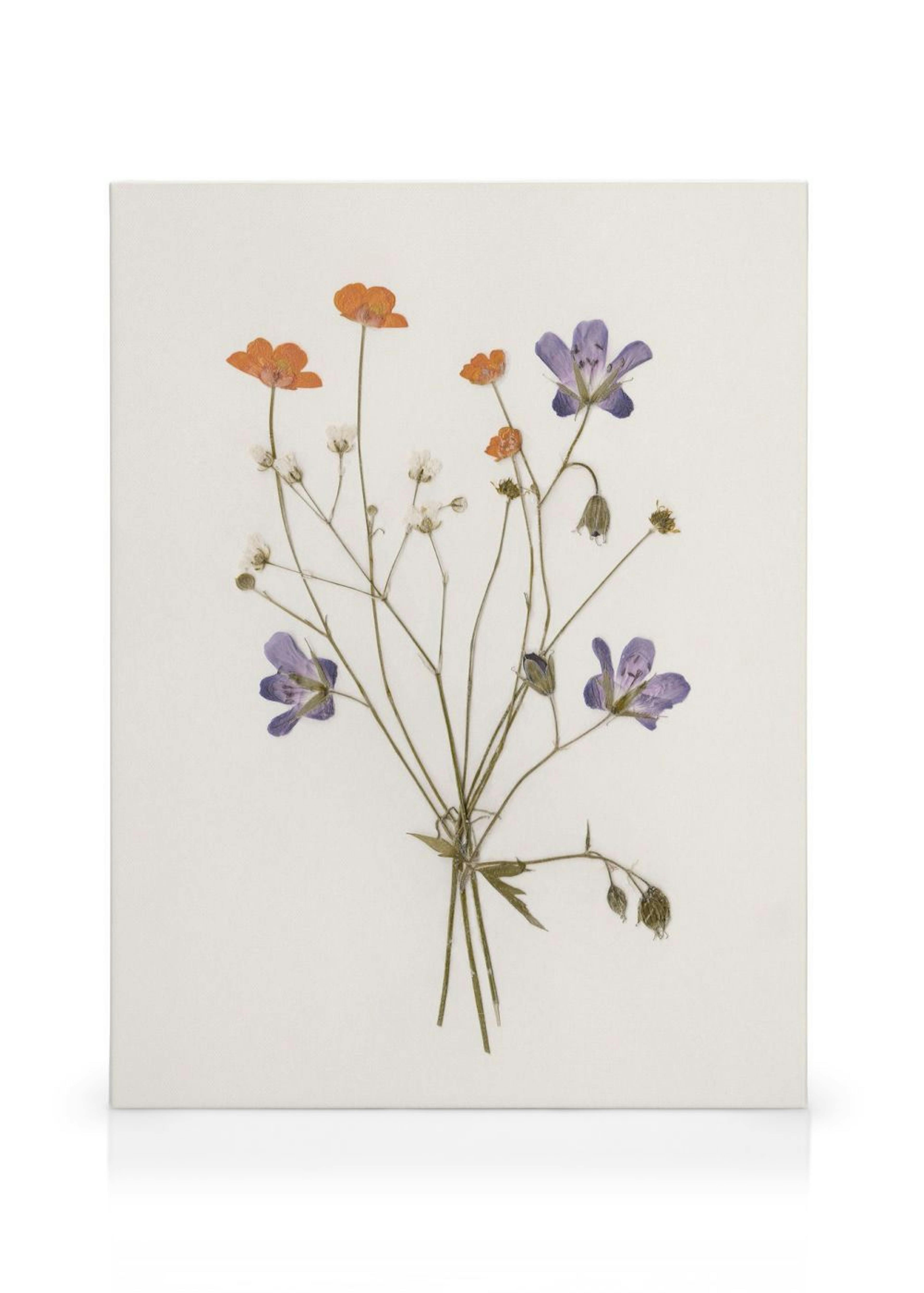 Pressed Flowers No1 Canvas print