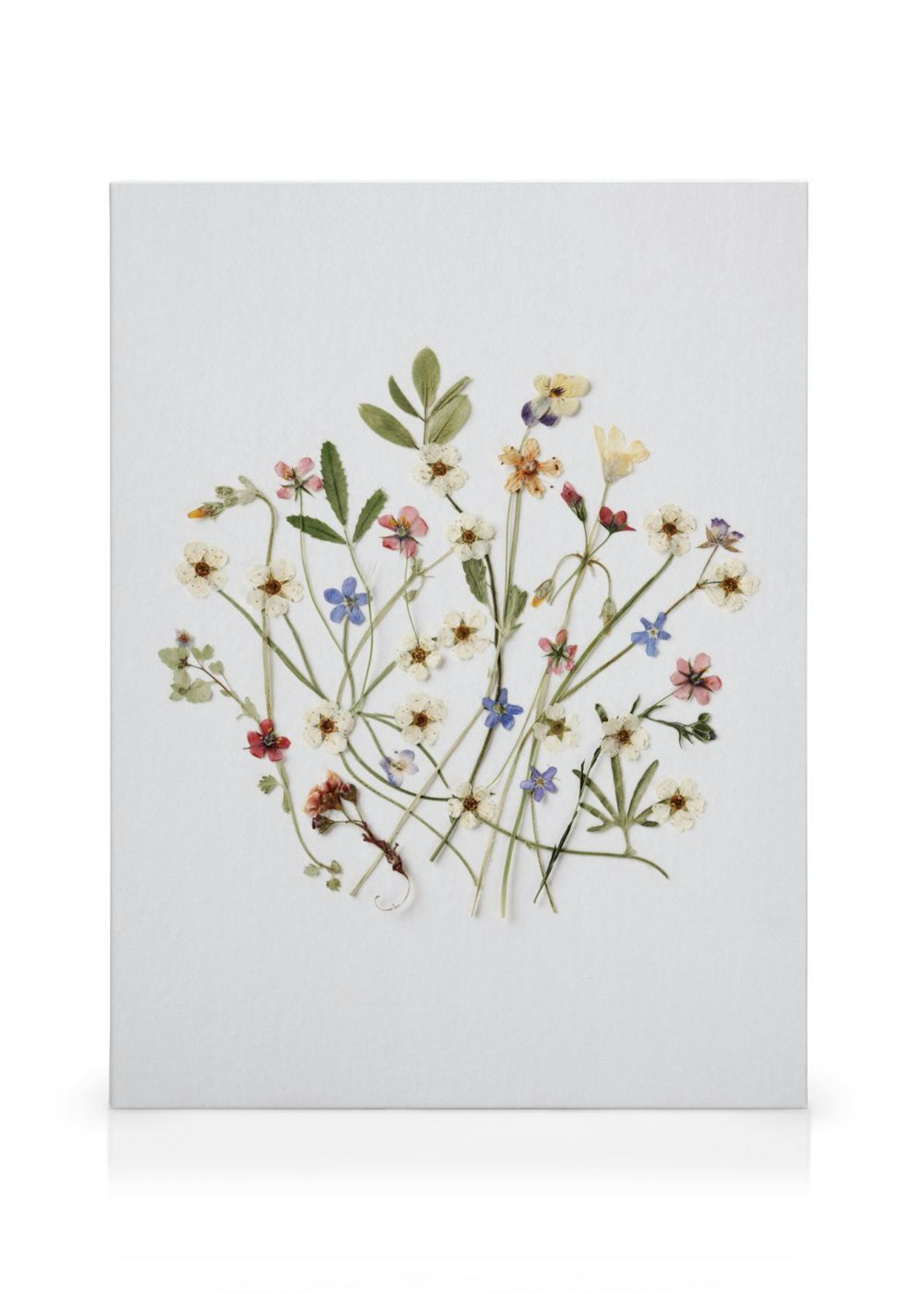 Pressed Bouquet Canvas print