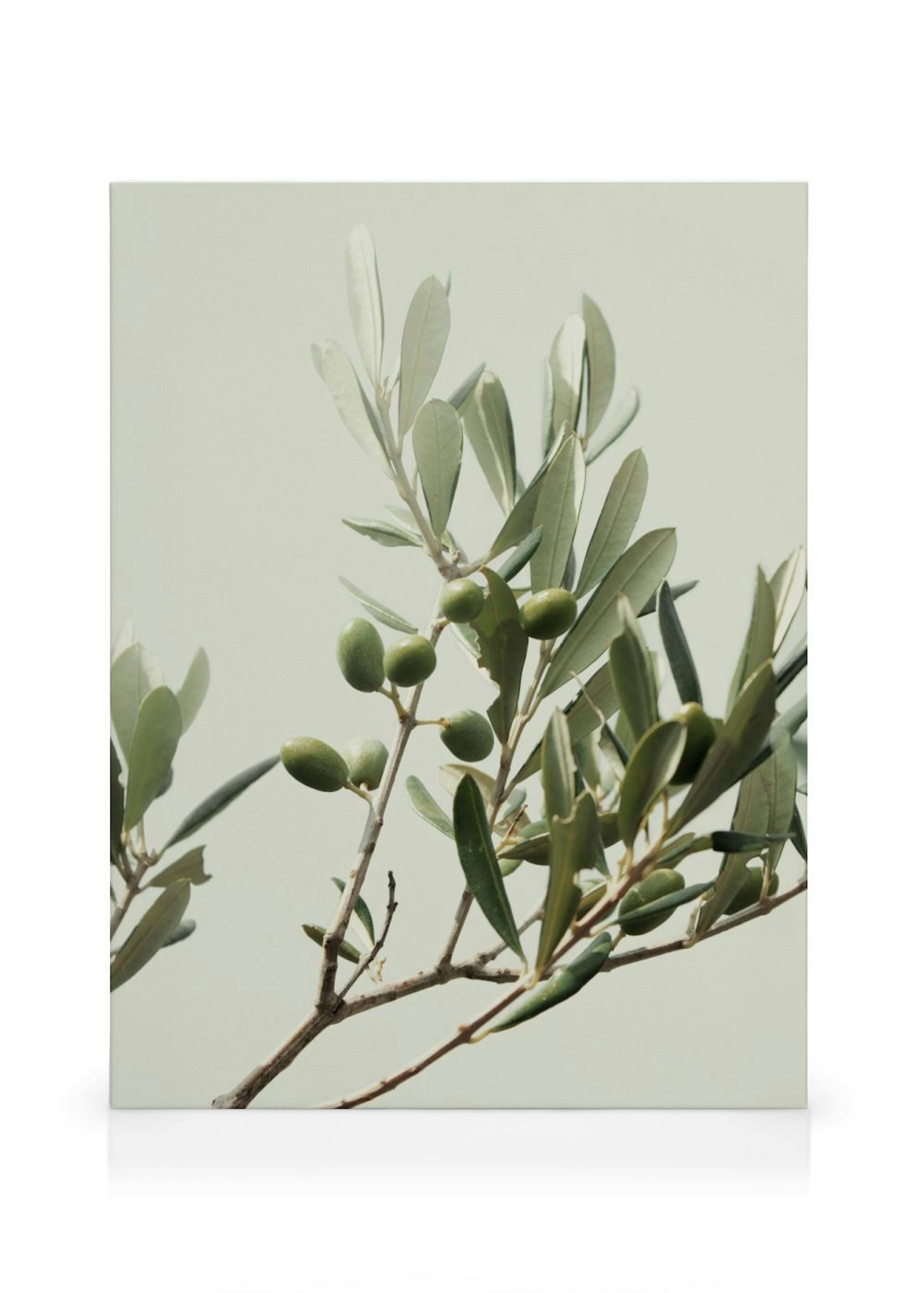 Product image: 1