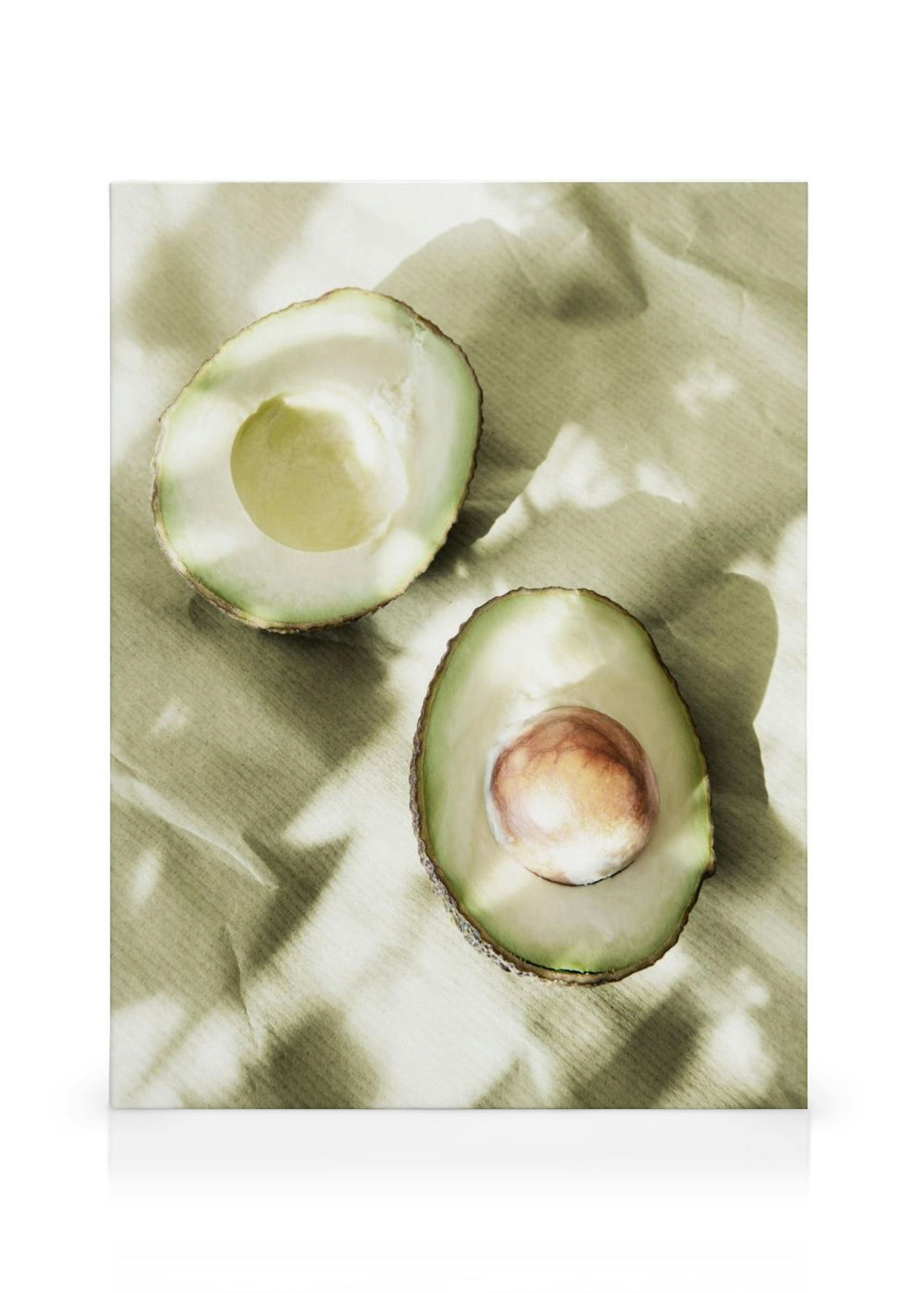 Sunlit Avocados Canvas print