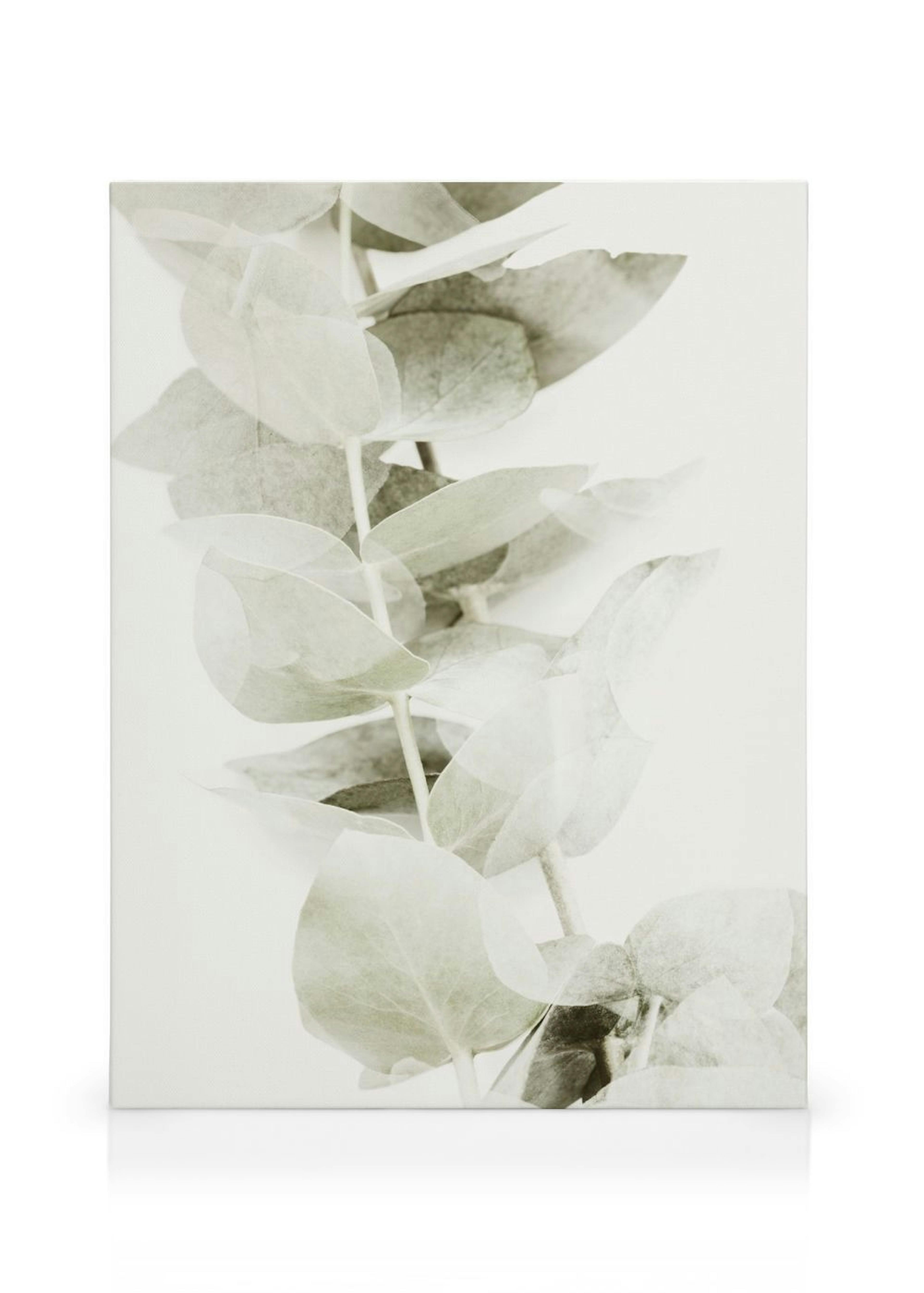 Abstract Eucalyptus No2 Tableau sur toile