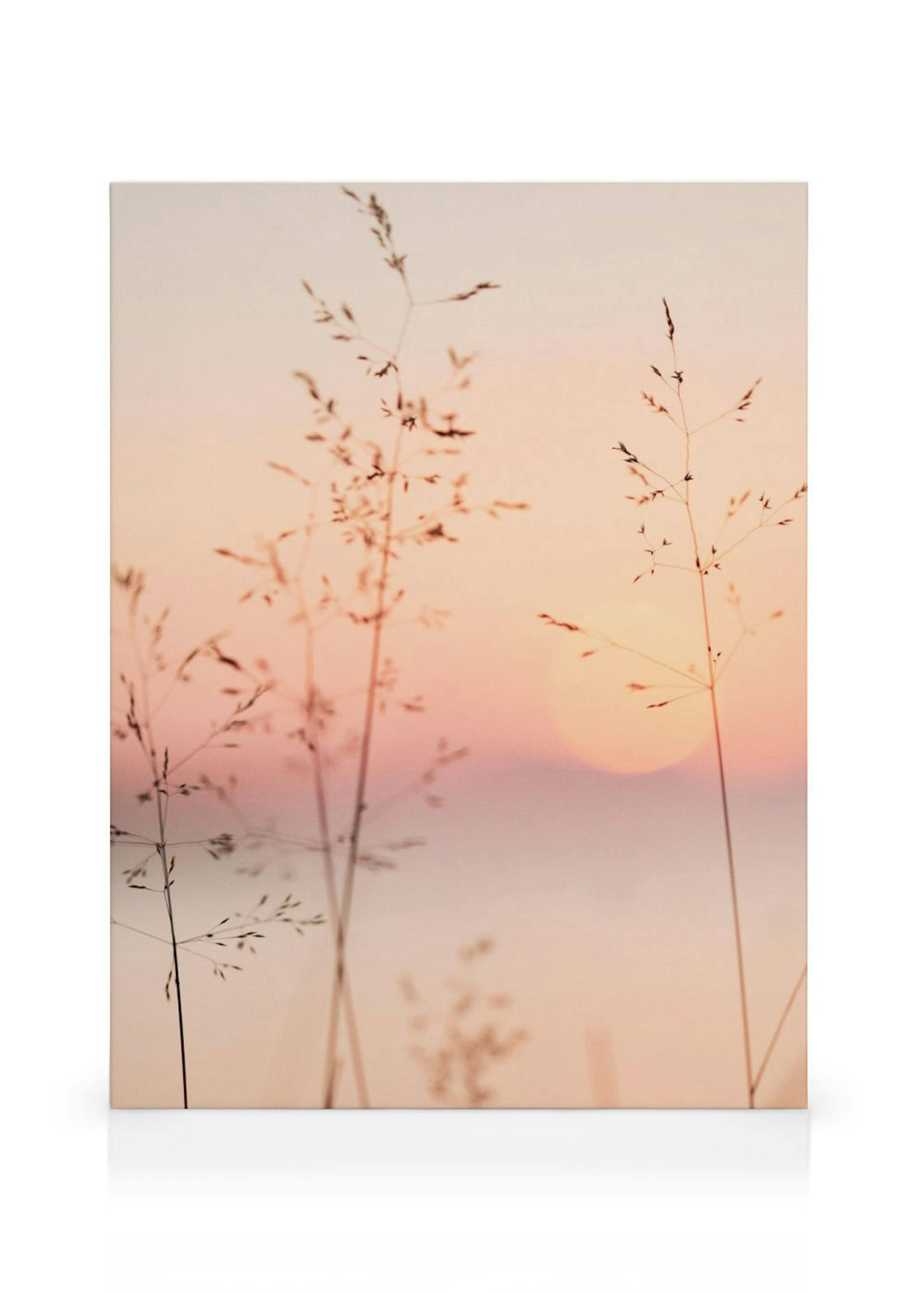 Product image: 1