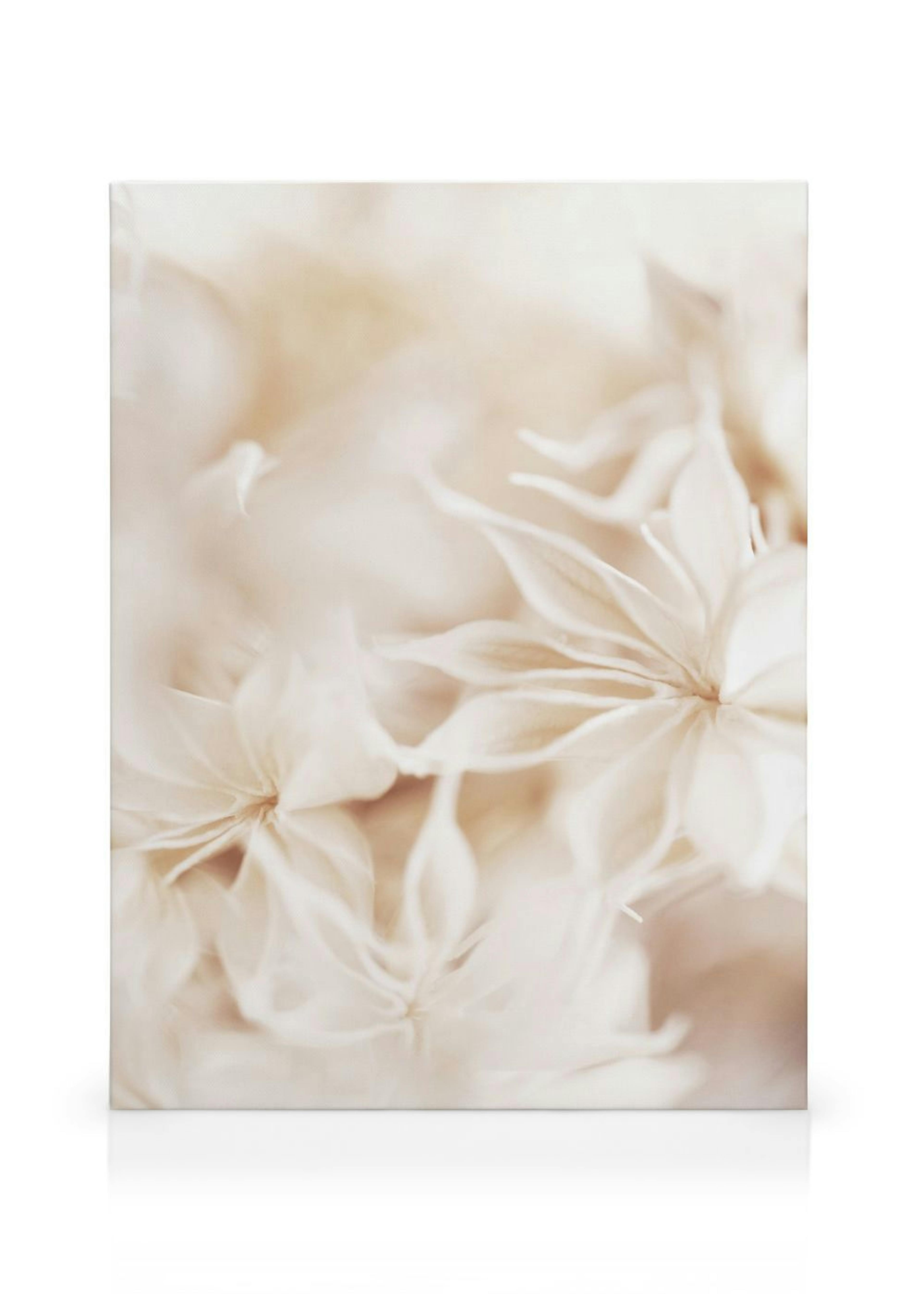 Floral Bokeh Toile