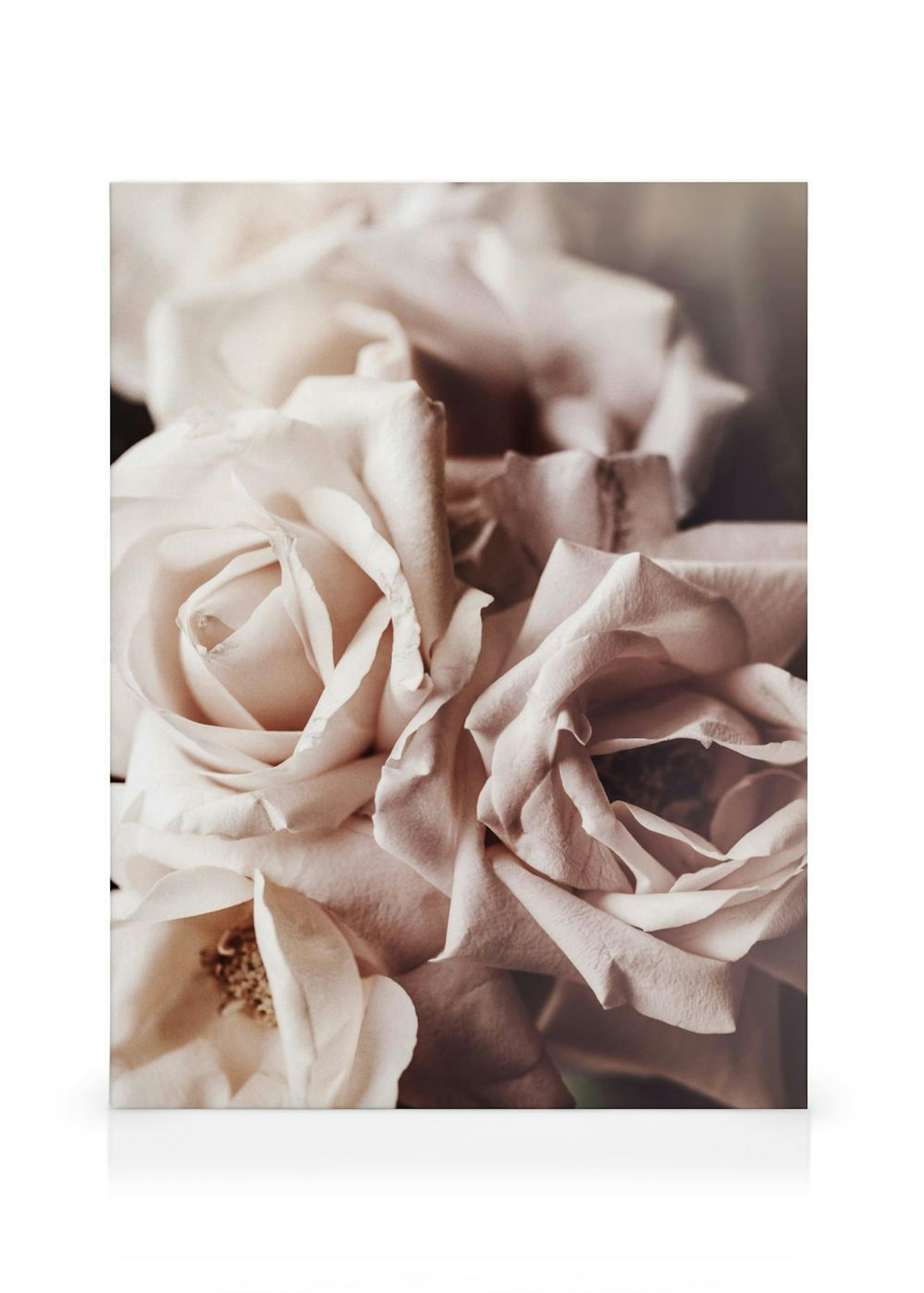 Product image: 1