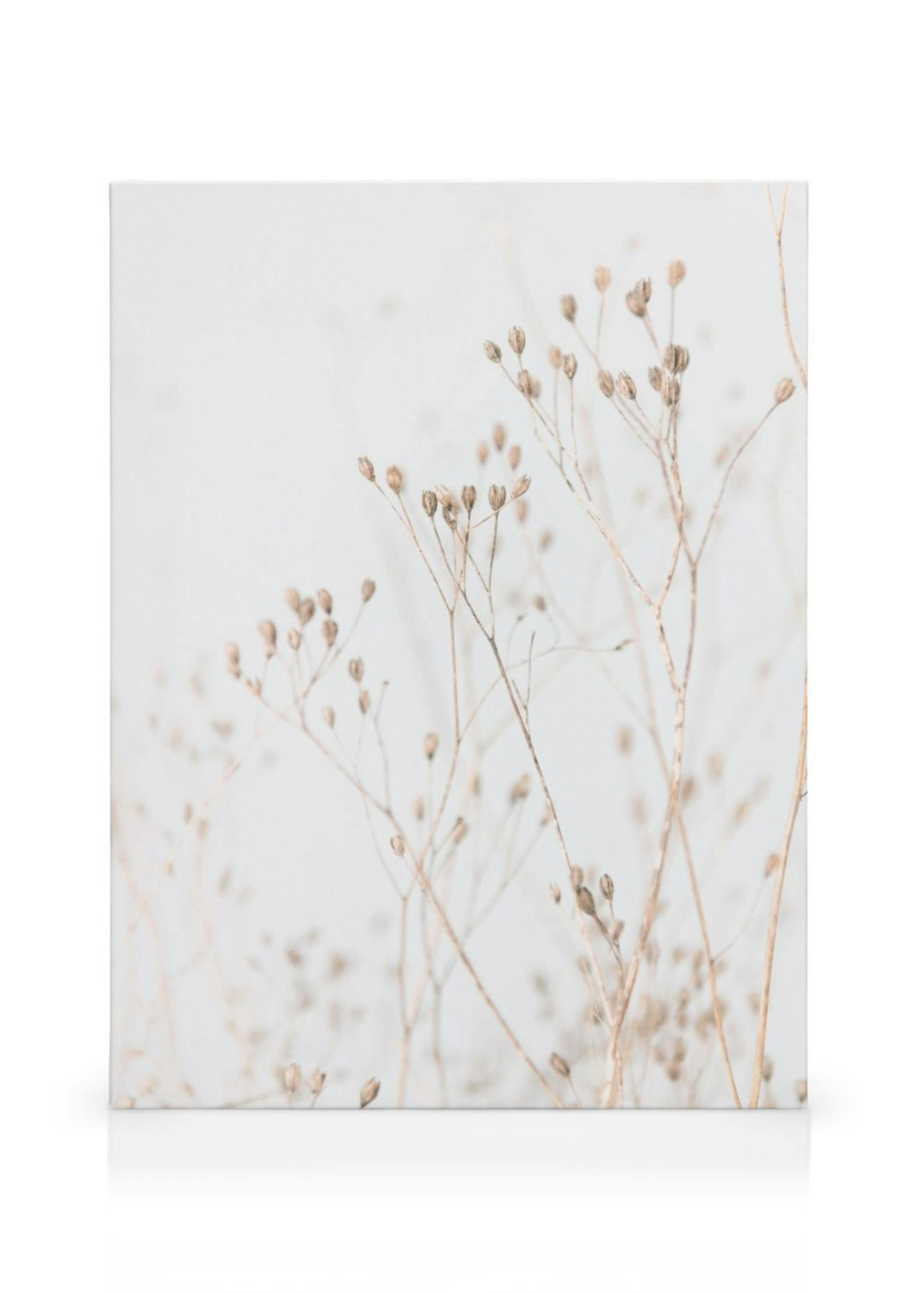 Product image: 1