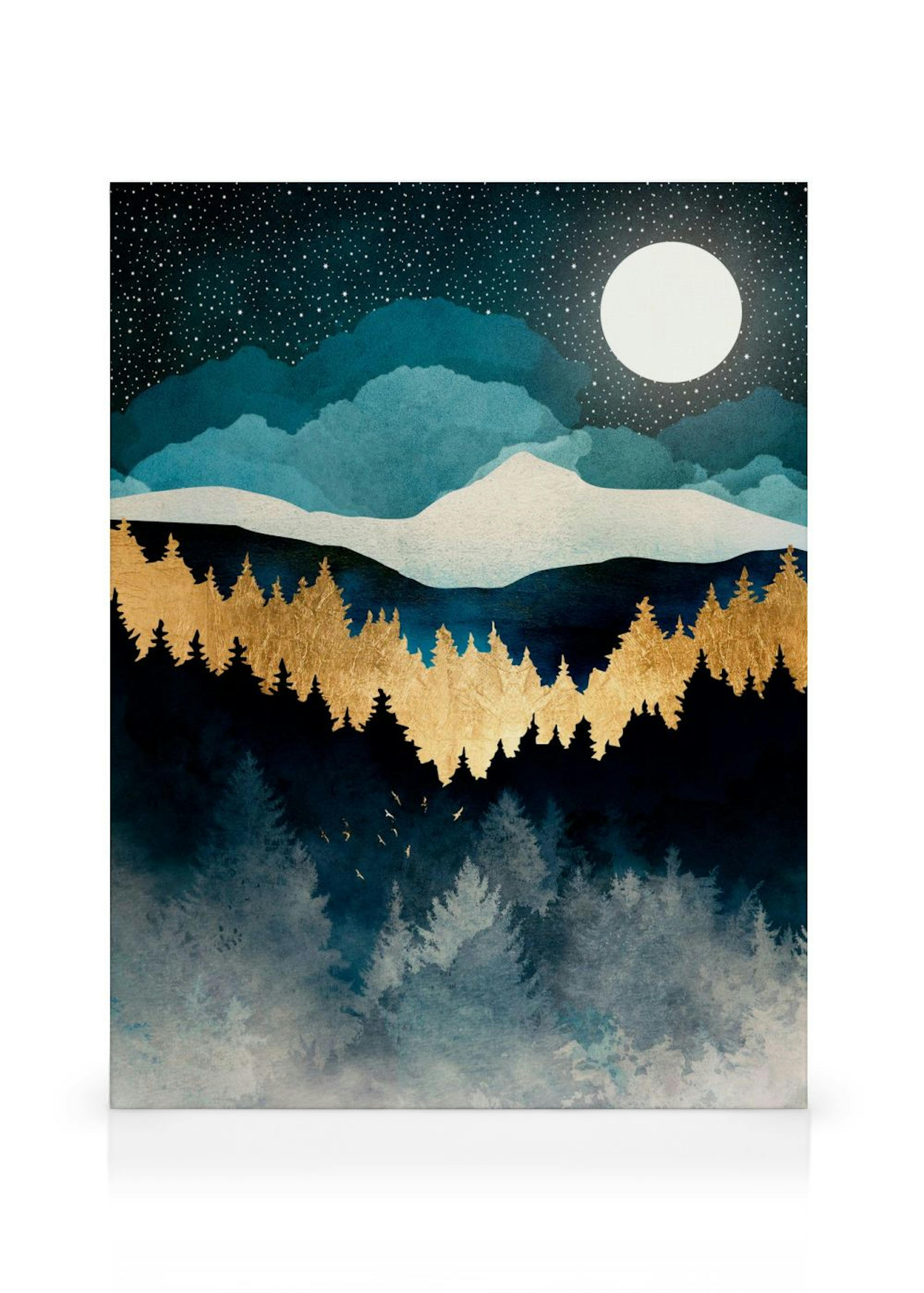 SpaceFrog Designs - Indigo Night Canvas print