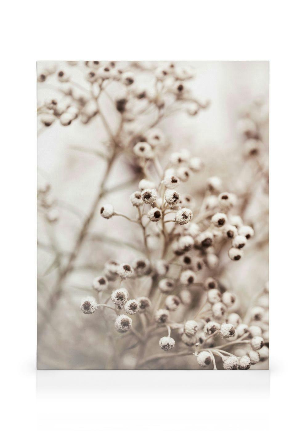 Beige botanisk bokeh, hvite knopper på tynne grener, myke toner, luftig følelse.
