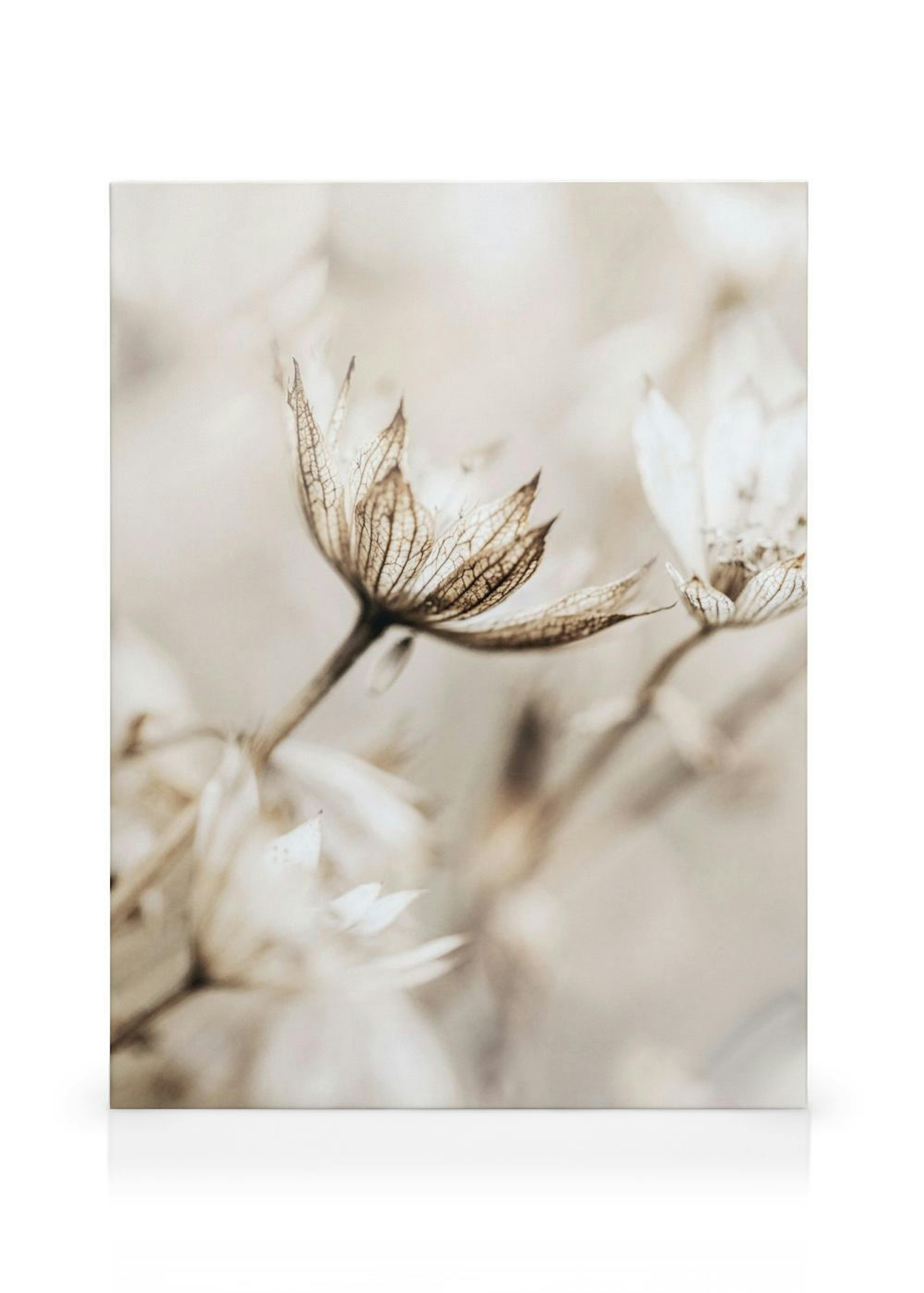 Product image: 1