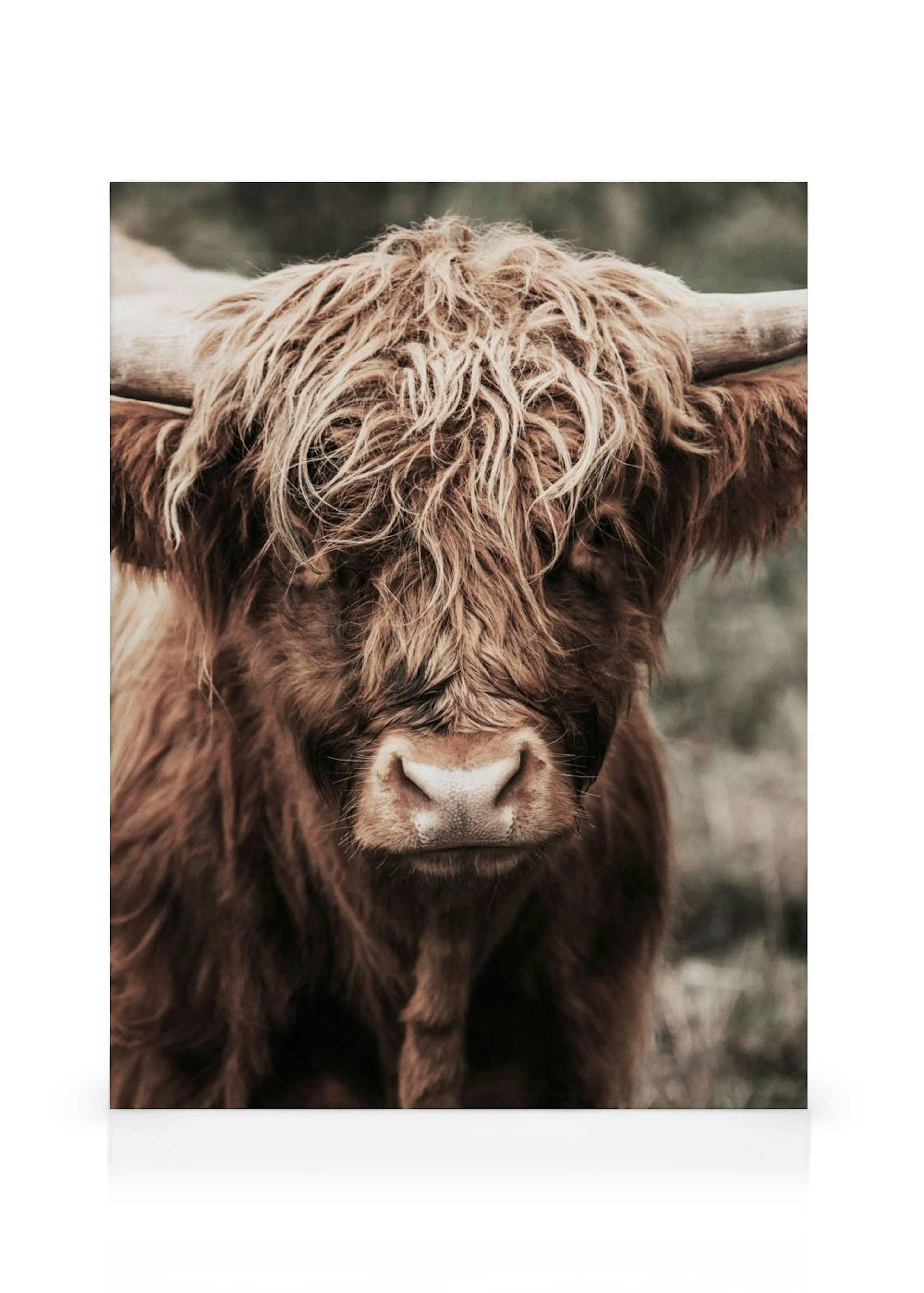 Cow Close Up Toile