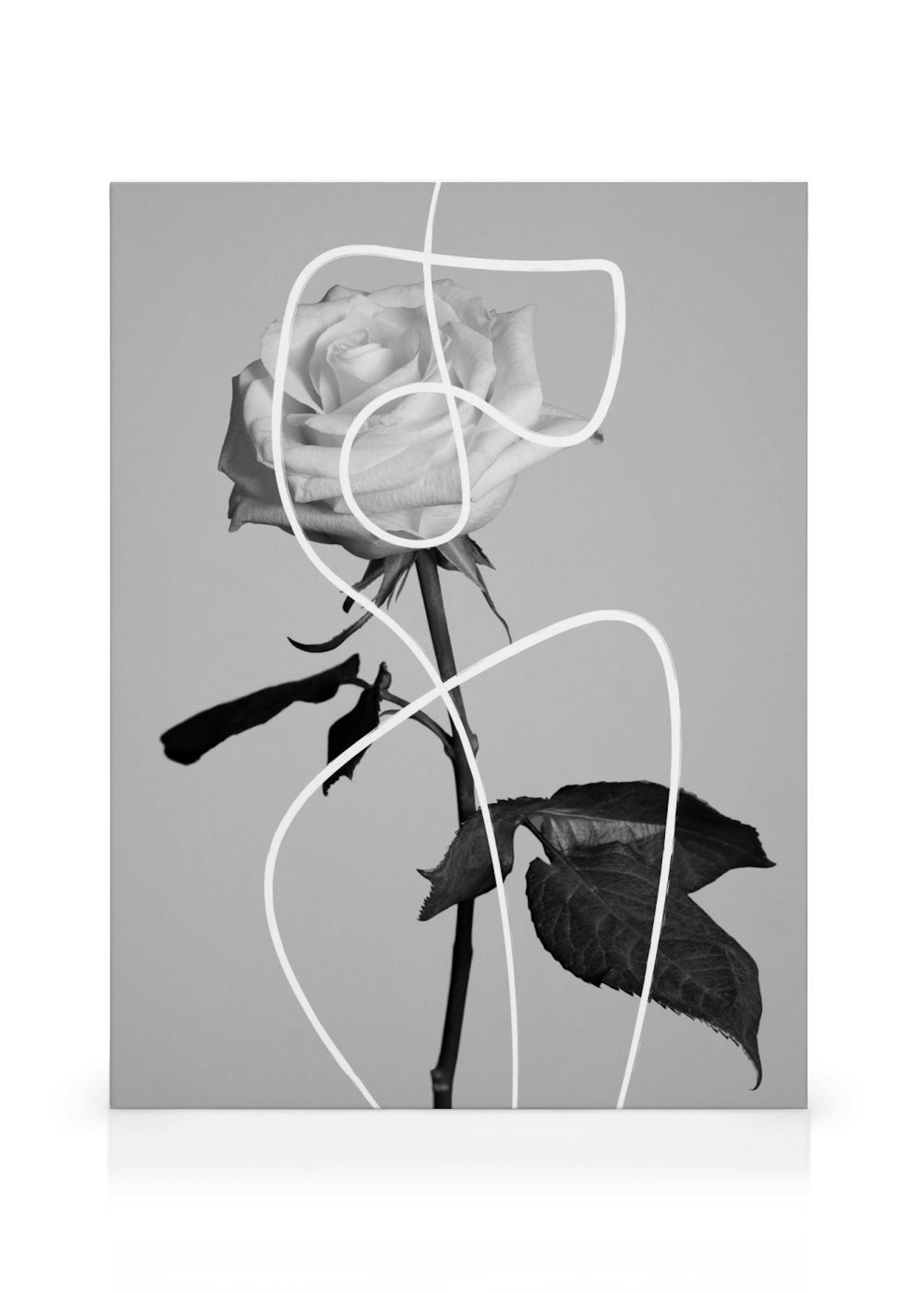 Flower Shapes Lærred