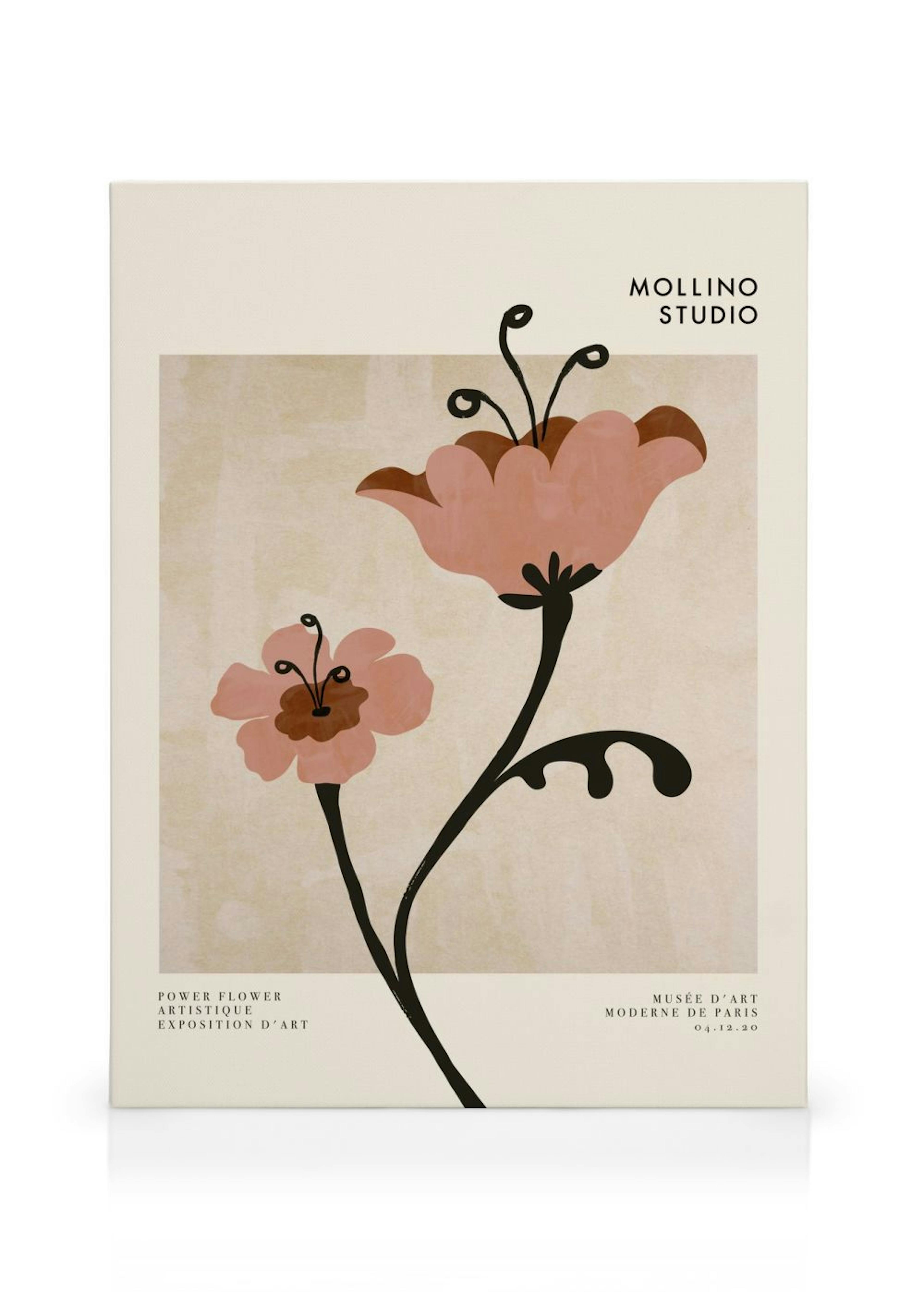 Product image: 1