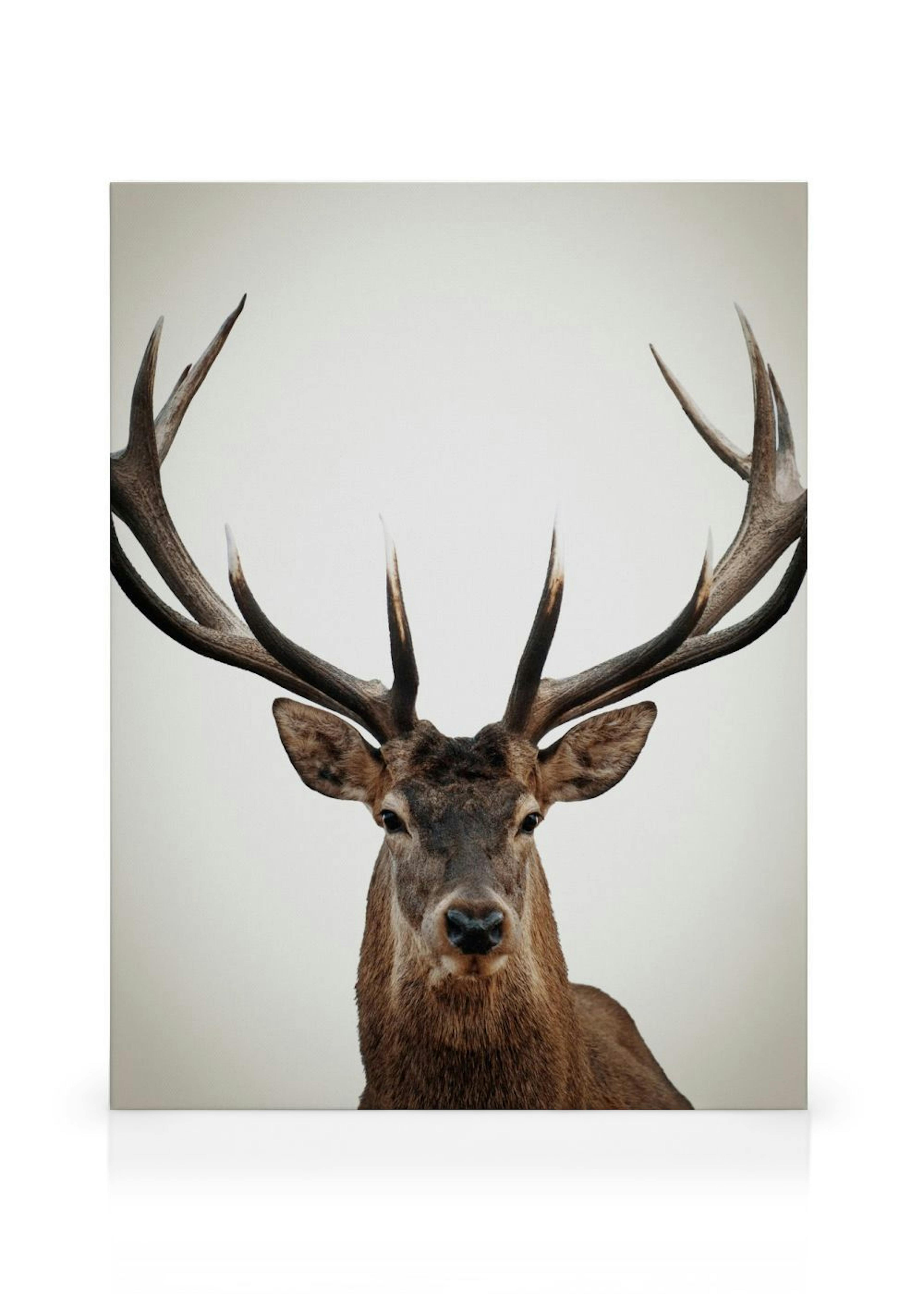 Product image: 1
