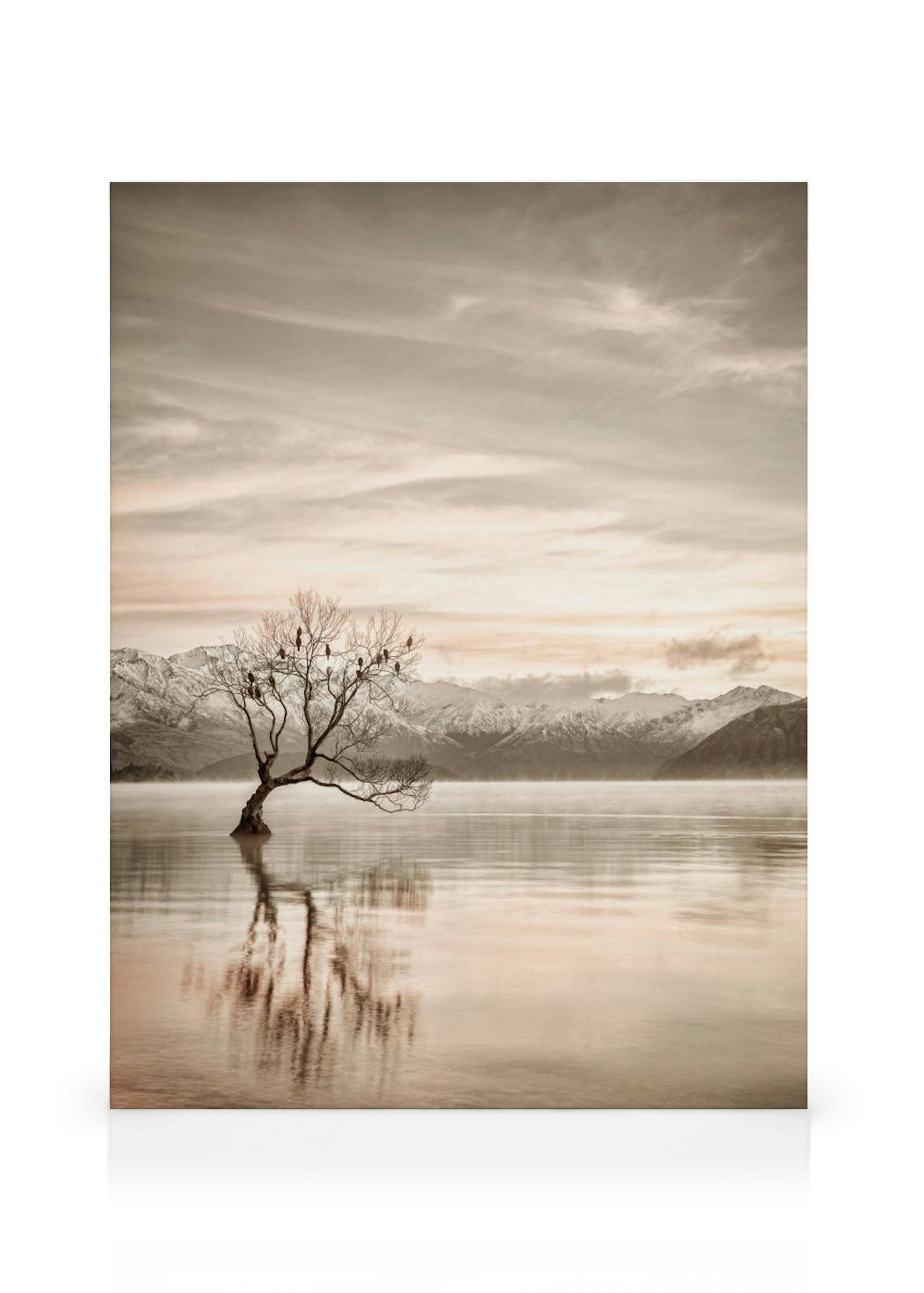 Product image: 1