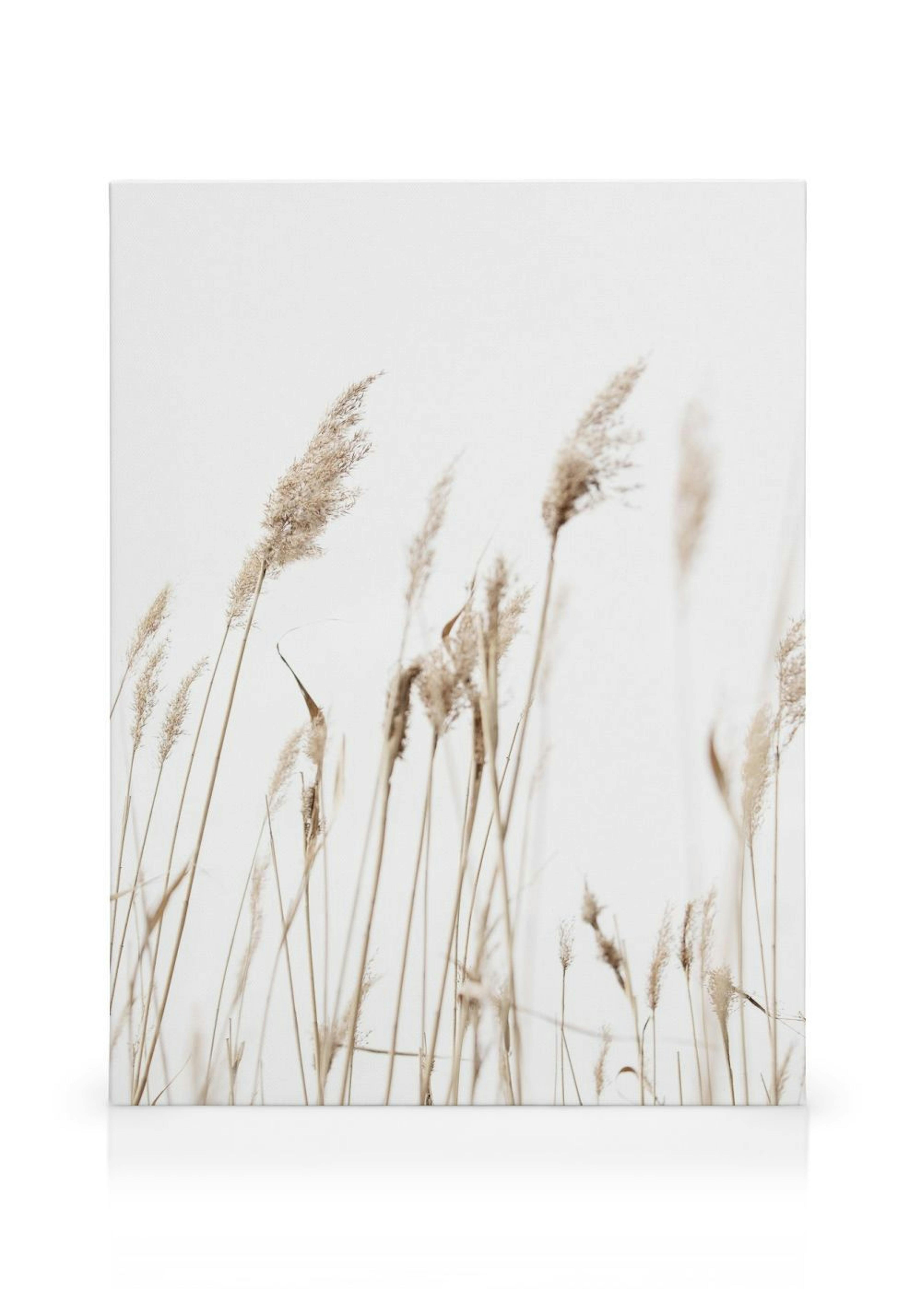 Product image: 1