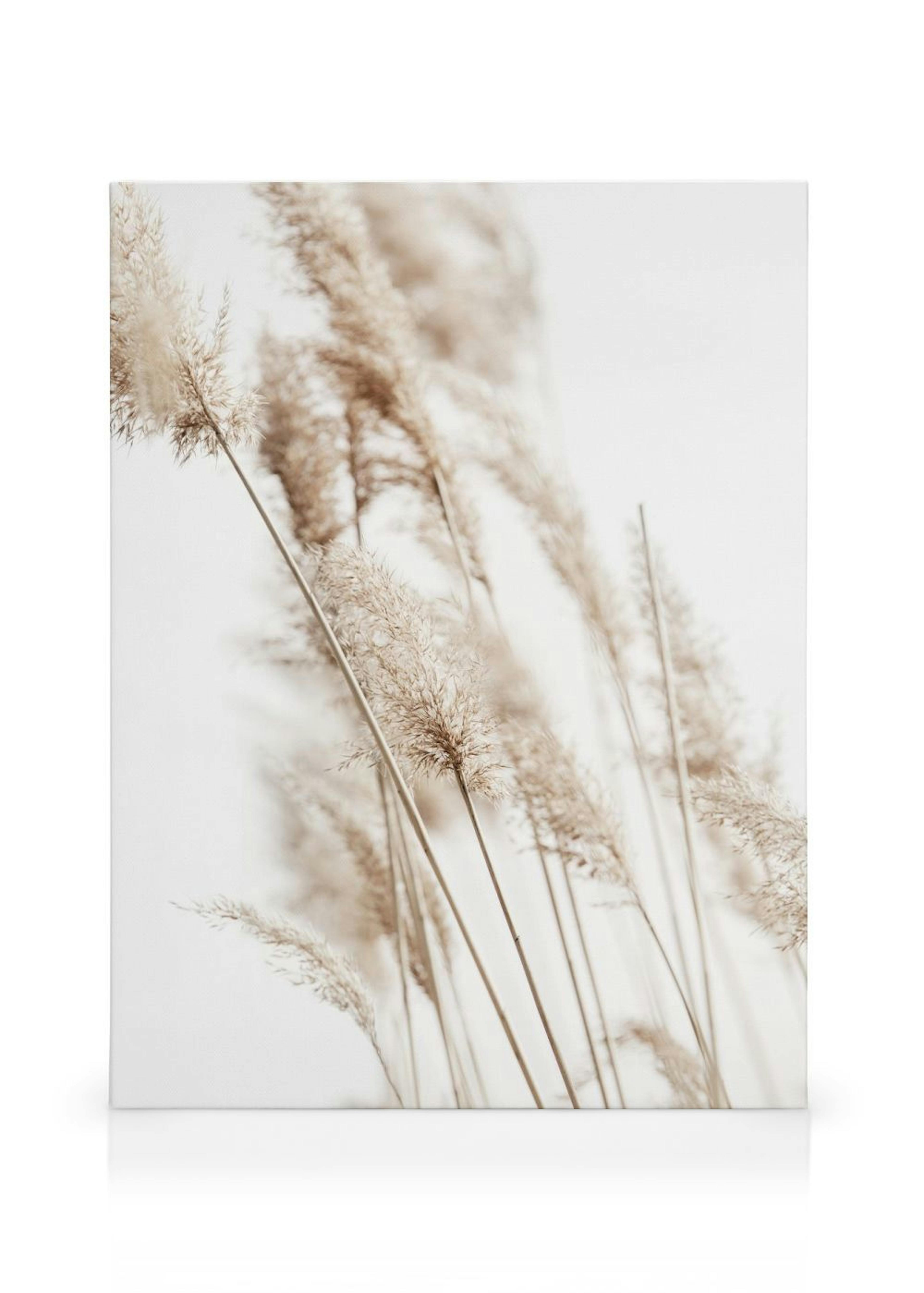 Product image: 1