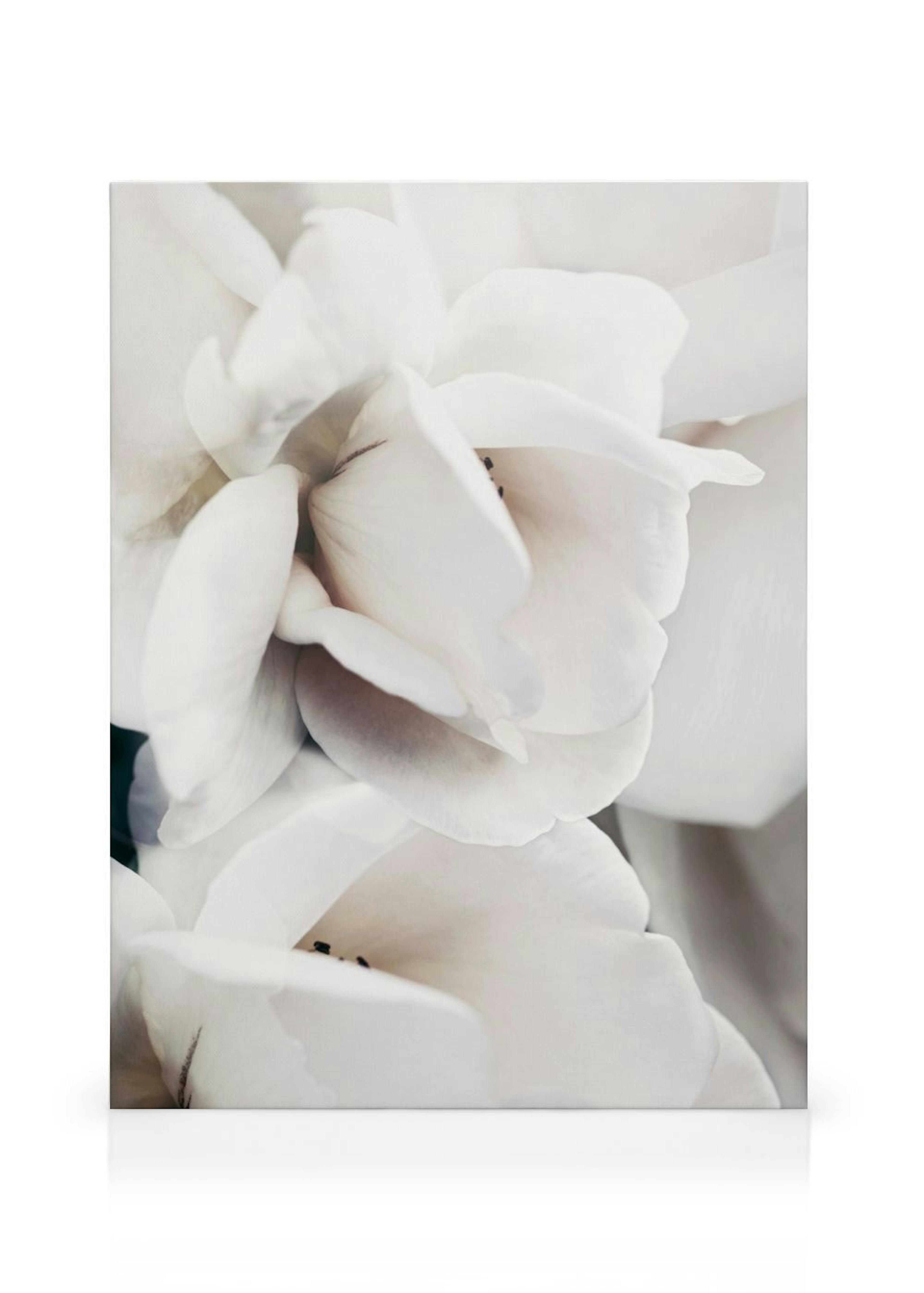 Product image: 1