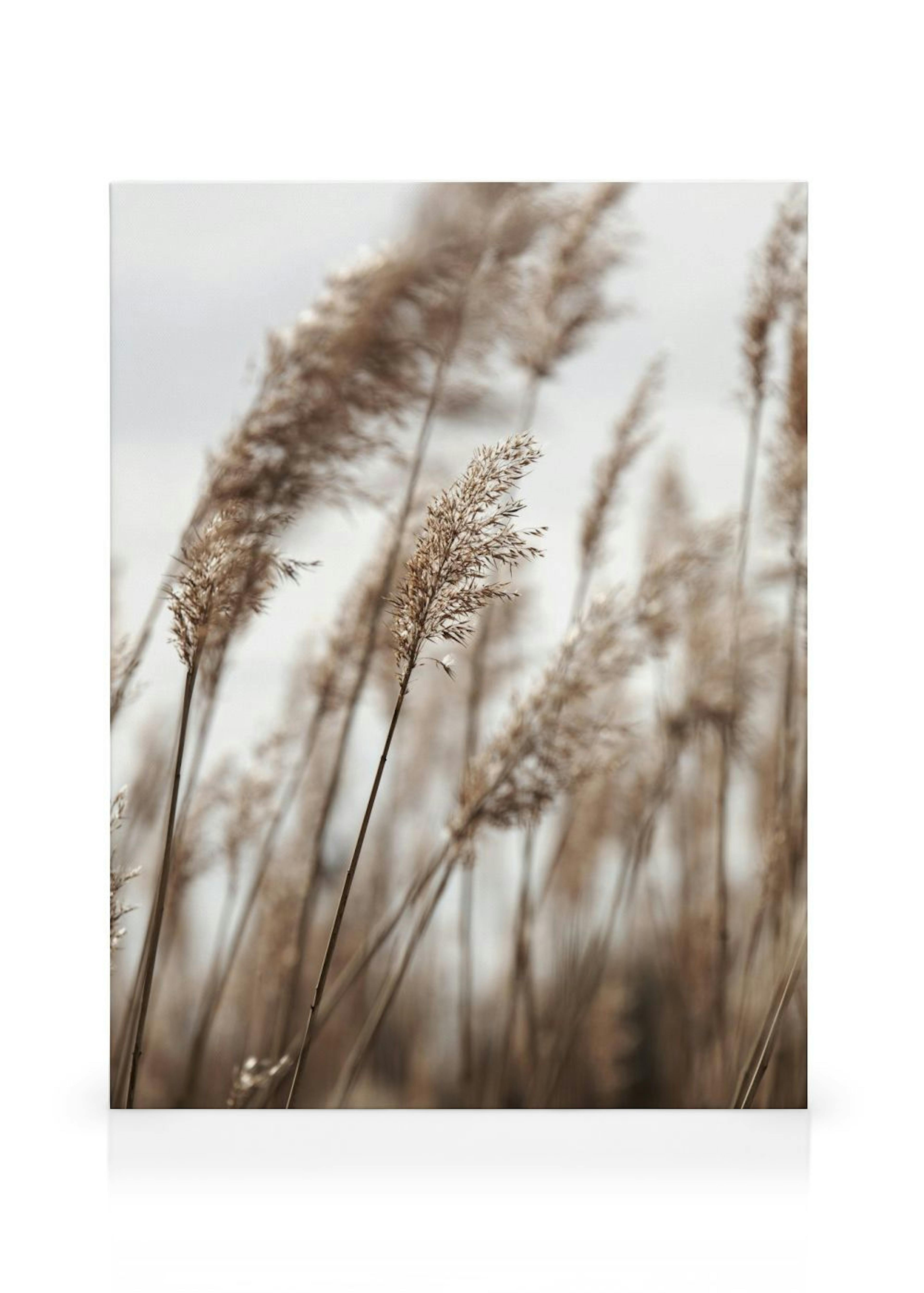 Product image: 1