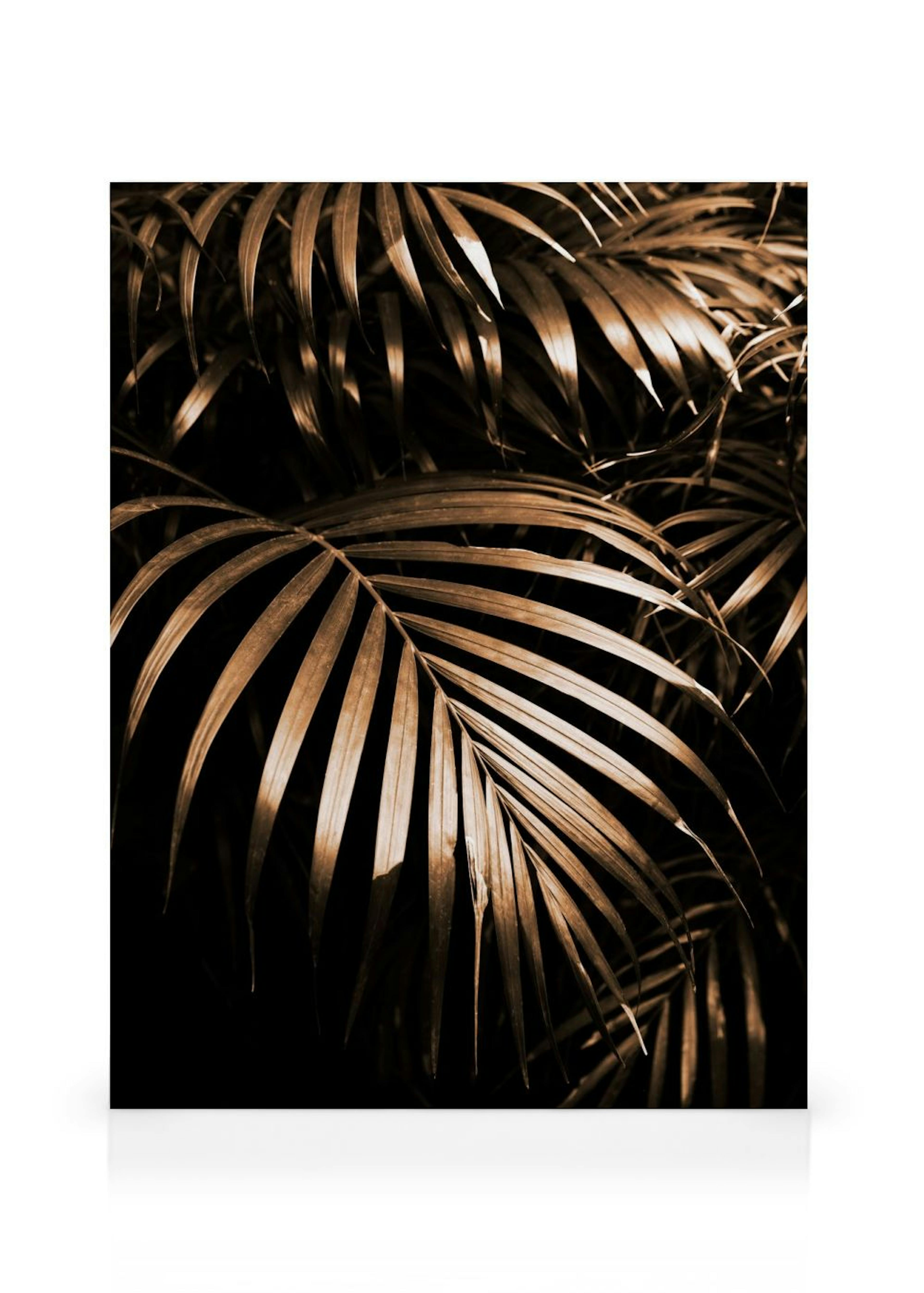 Product image: 1