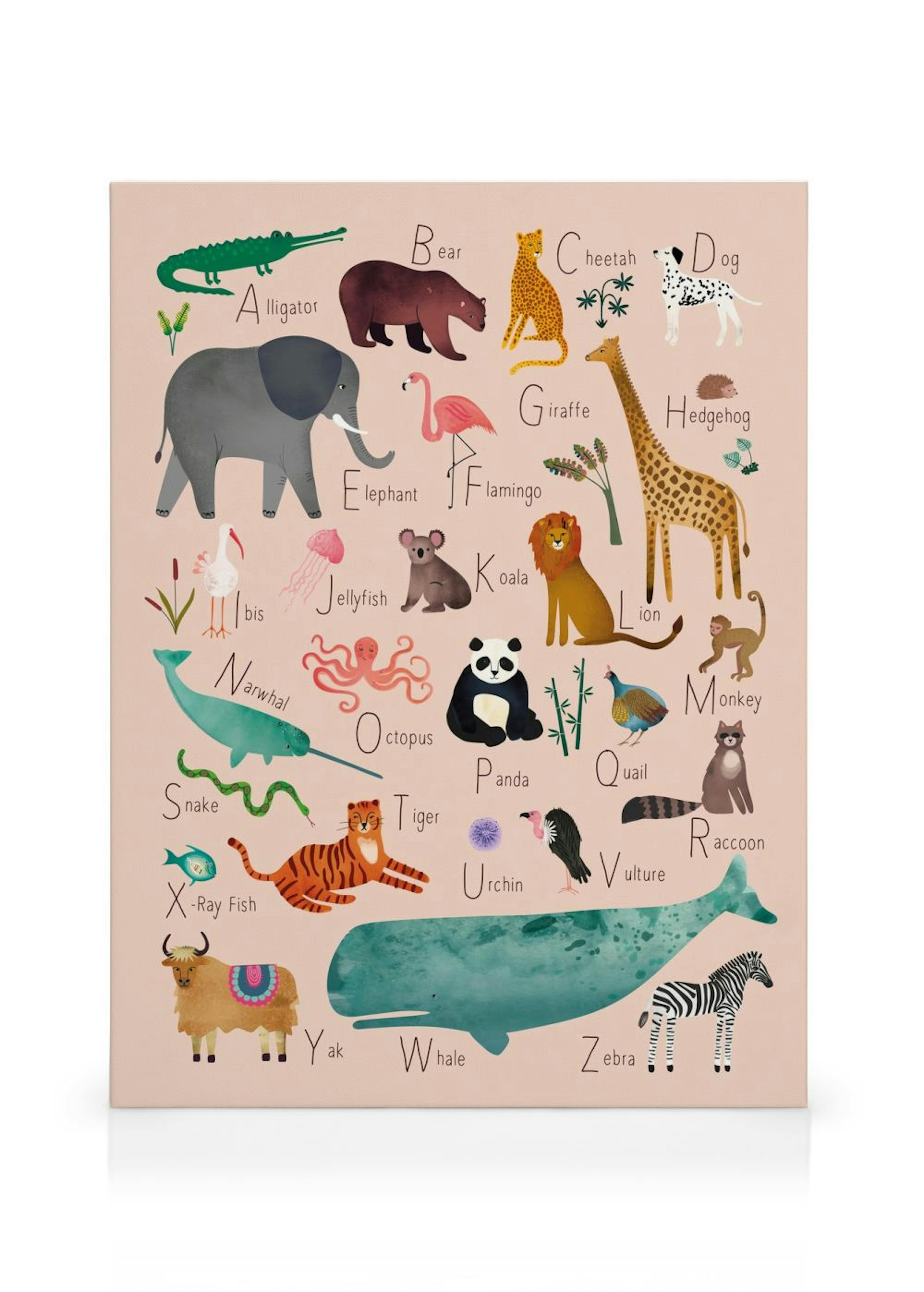 Alphabet Animals 1 Lienzo