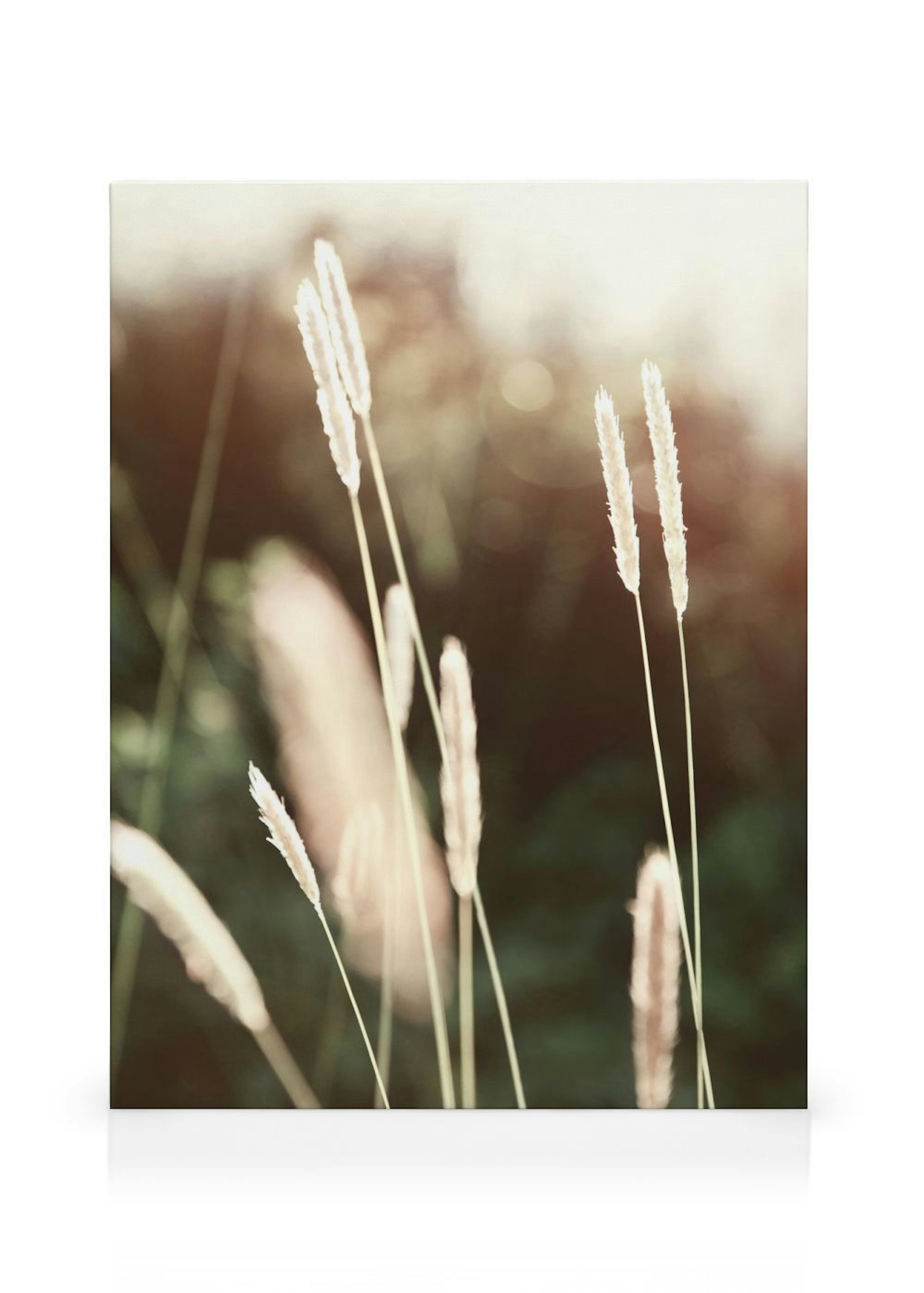 Product image: 1